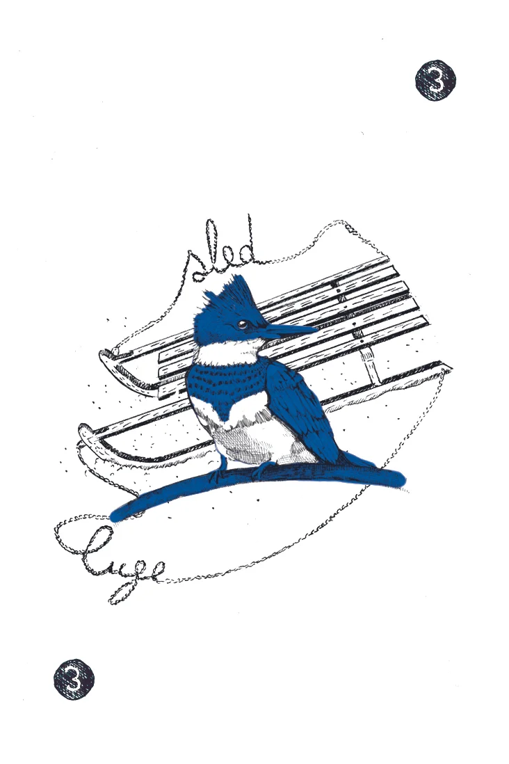 luge3.jpg