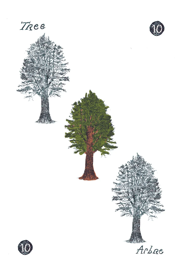 ARBRE03.jpg