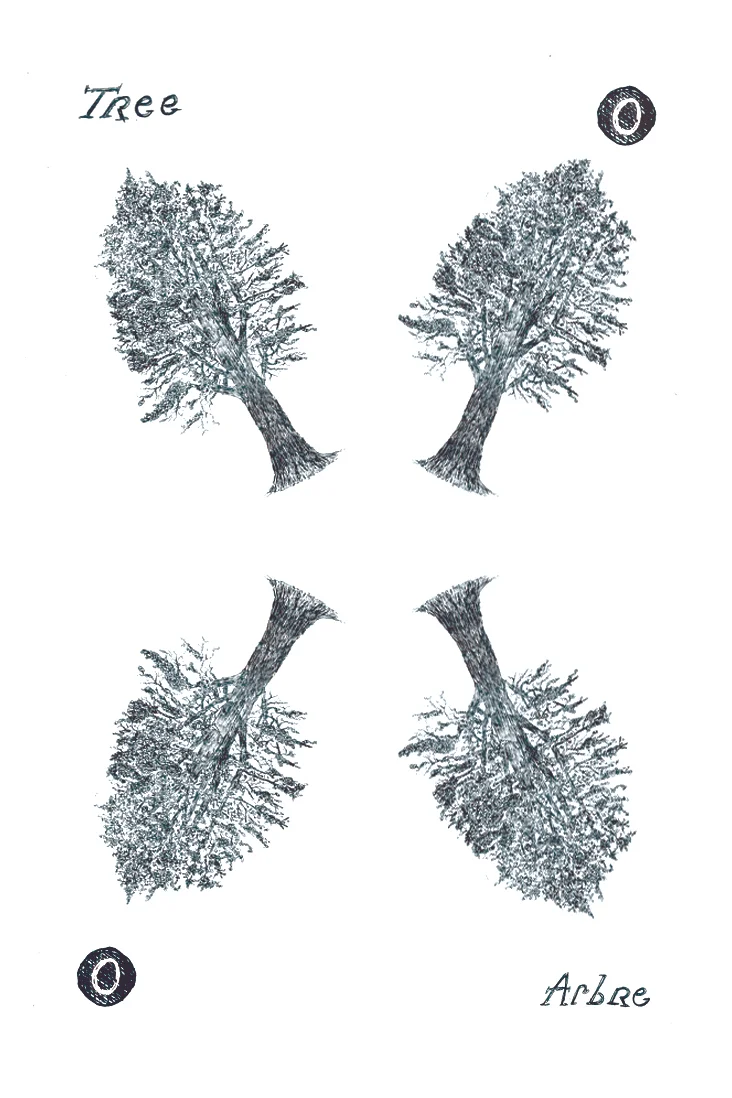 ARBRE04.jpg