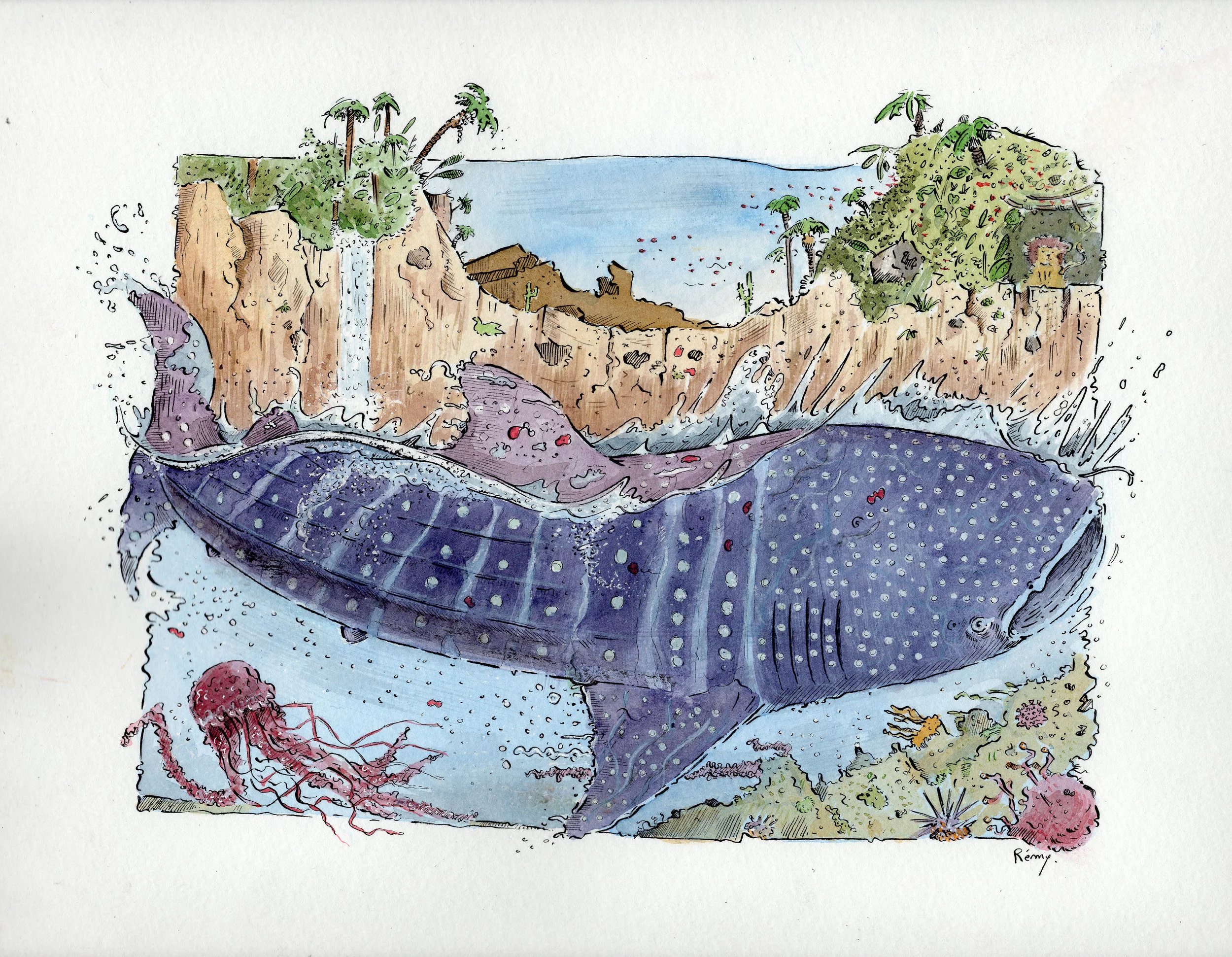 whaleshark2.jpg