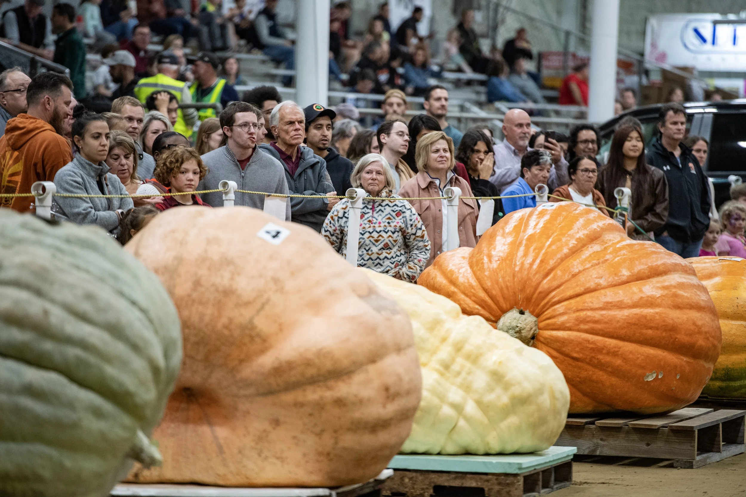 pumpkin_07.jpg