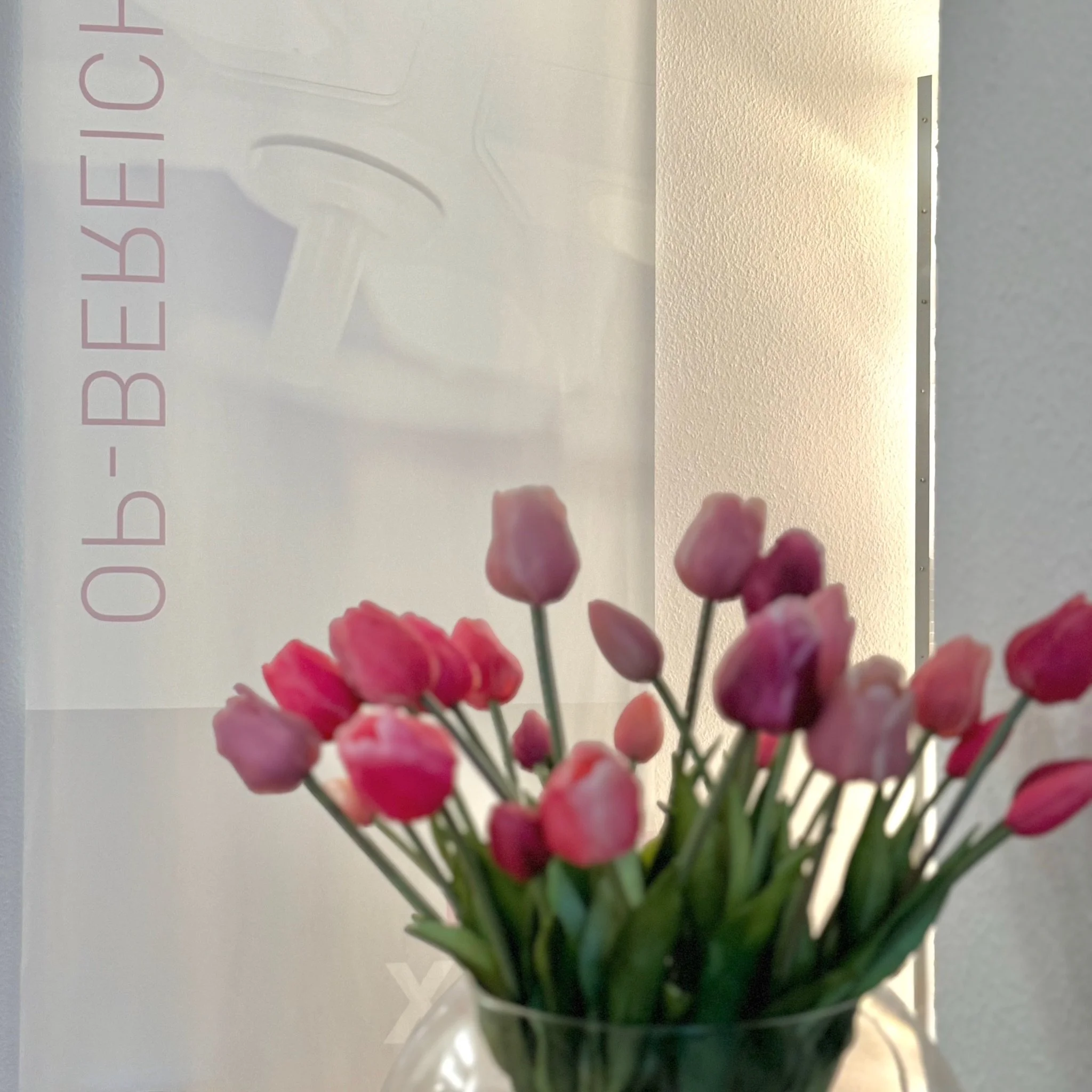 Blumen und Op.jpeg