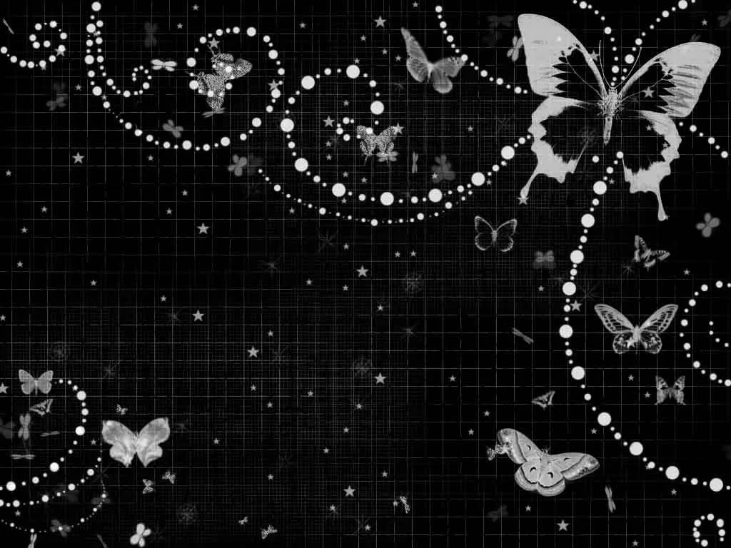 black-white-butterfly-design.jpeg