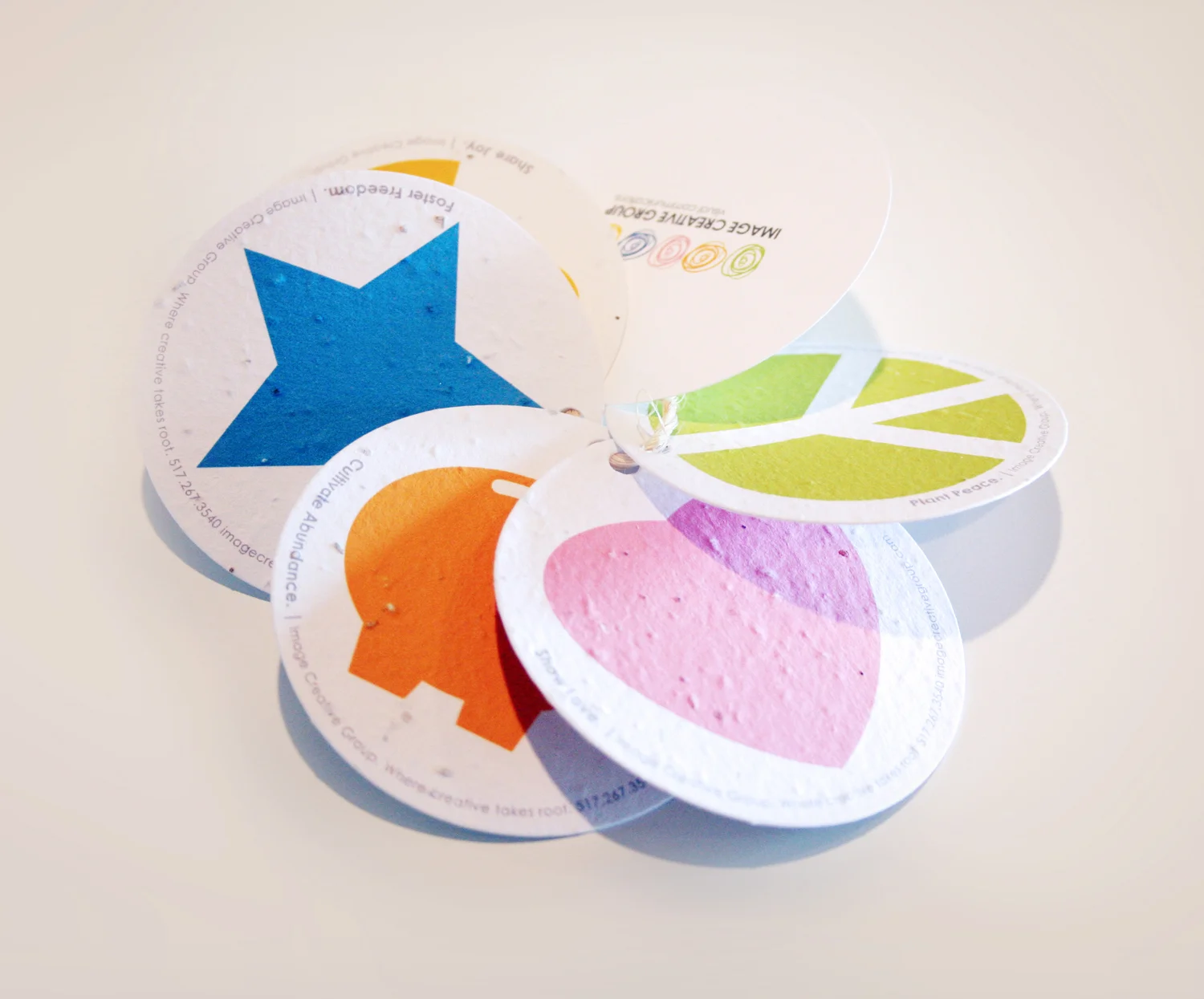 ICG Seed Paper.jpg