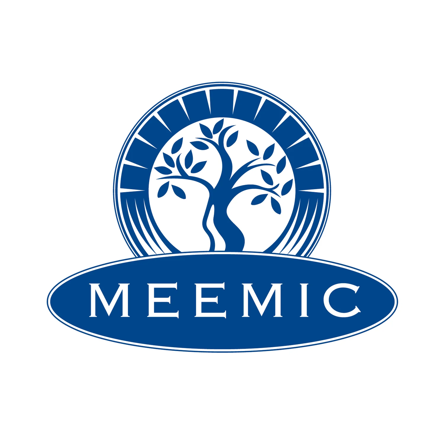 MEEMIC.jpg