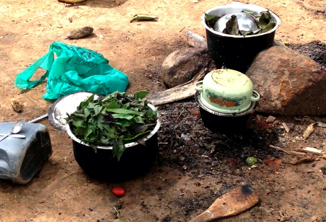 Cooking leaves for a meal.