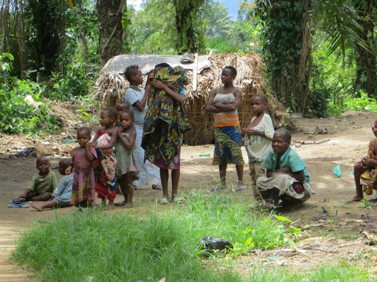 Pygmy population in DR Congo forced to flee because of those fighting and competing for the country's natural resources.