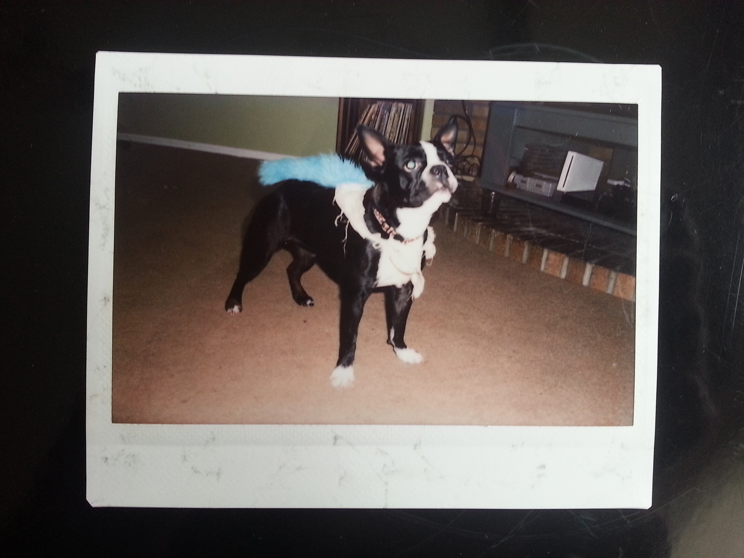 20141018_120443.jpg