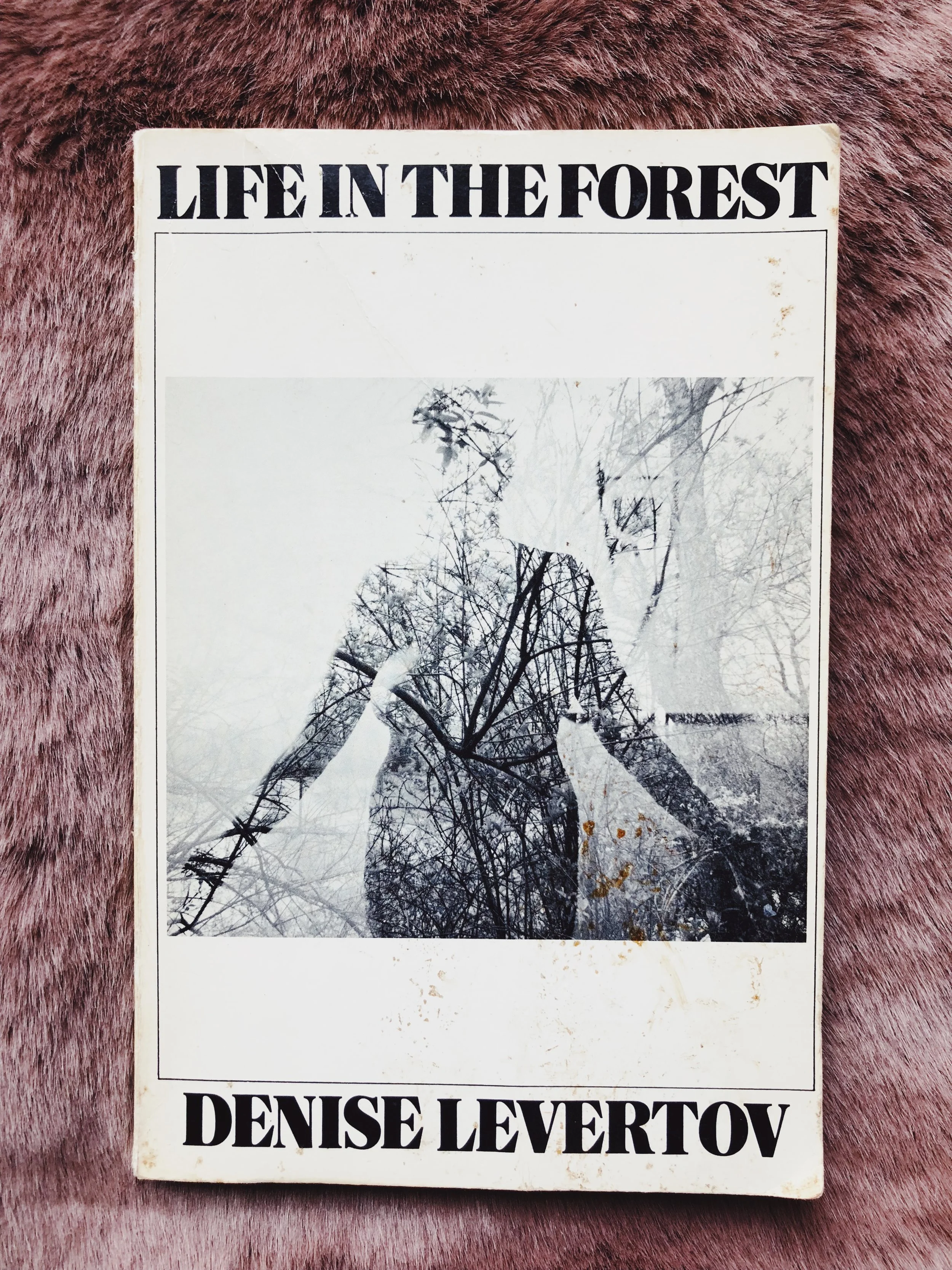 Sunday Poetry: Denise Levertov