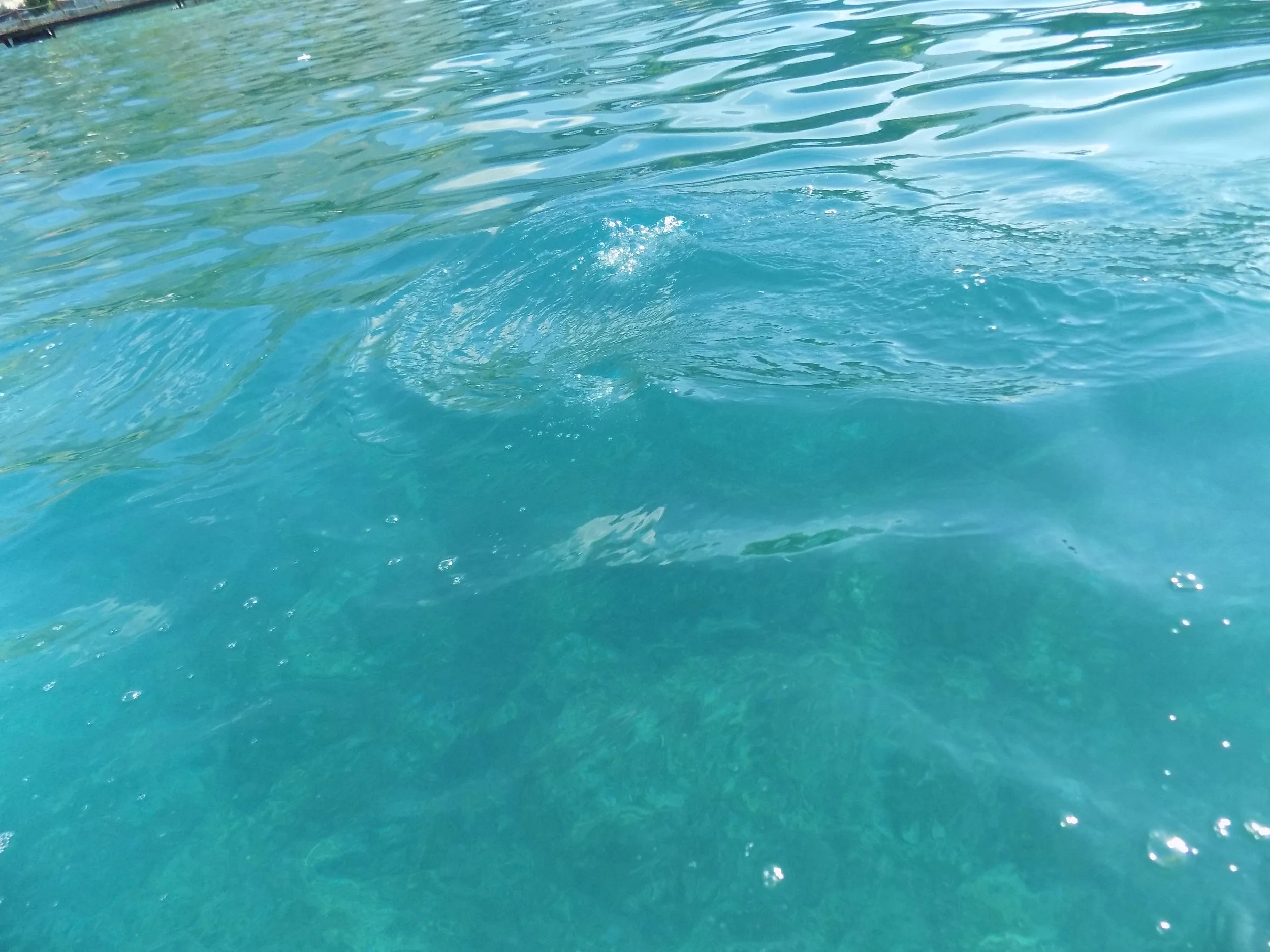 DSCN1769.JPG