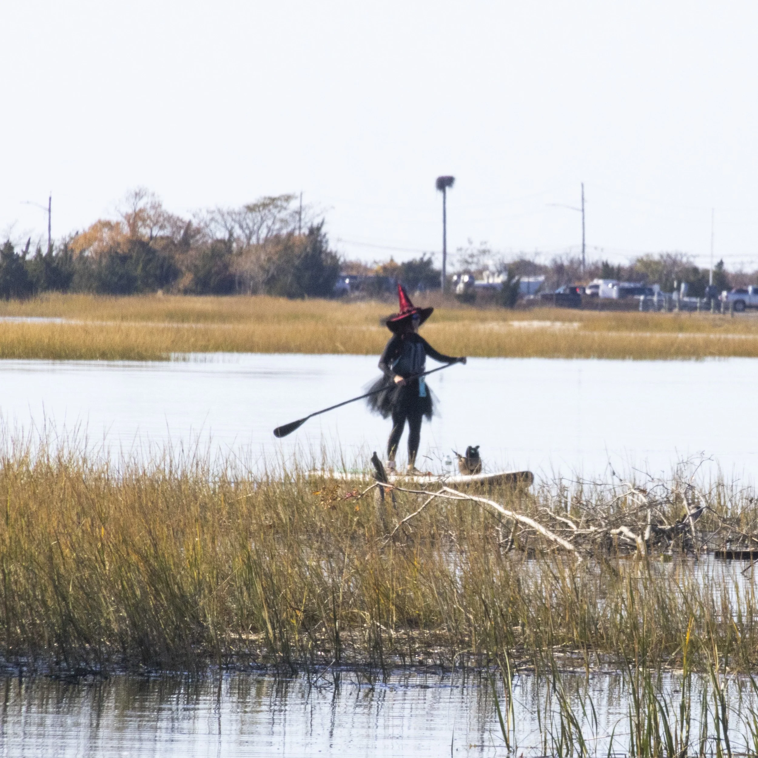 Stony_Brook_Harbor_Solo_Witch_Paddle-1.JPG