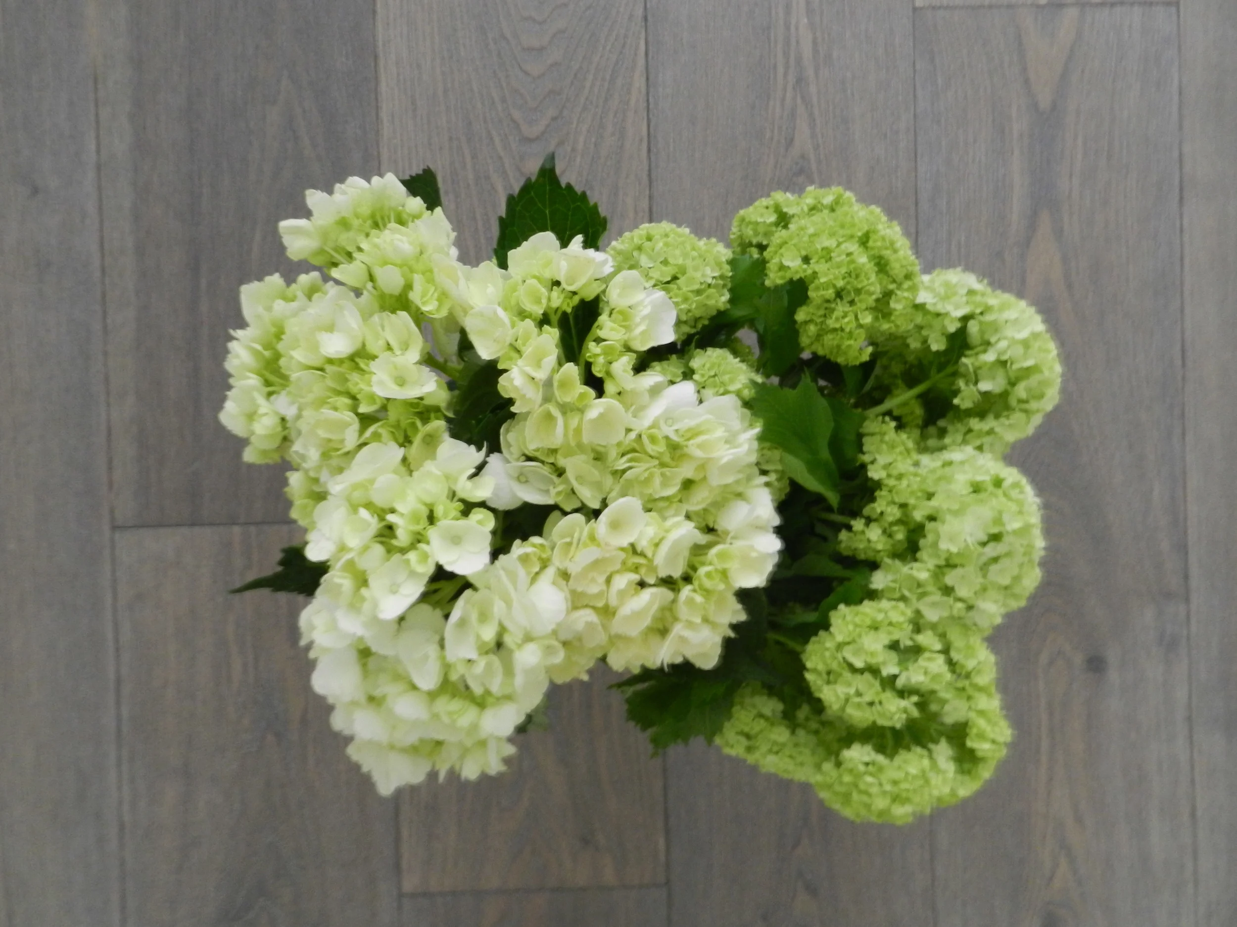 DSCN5639.JPG