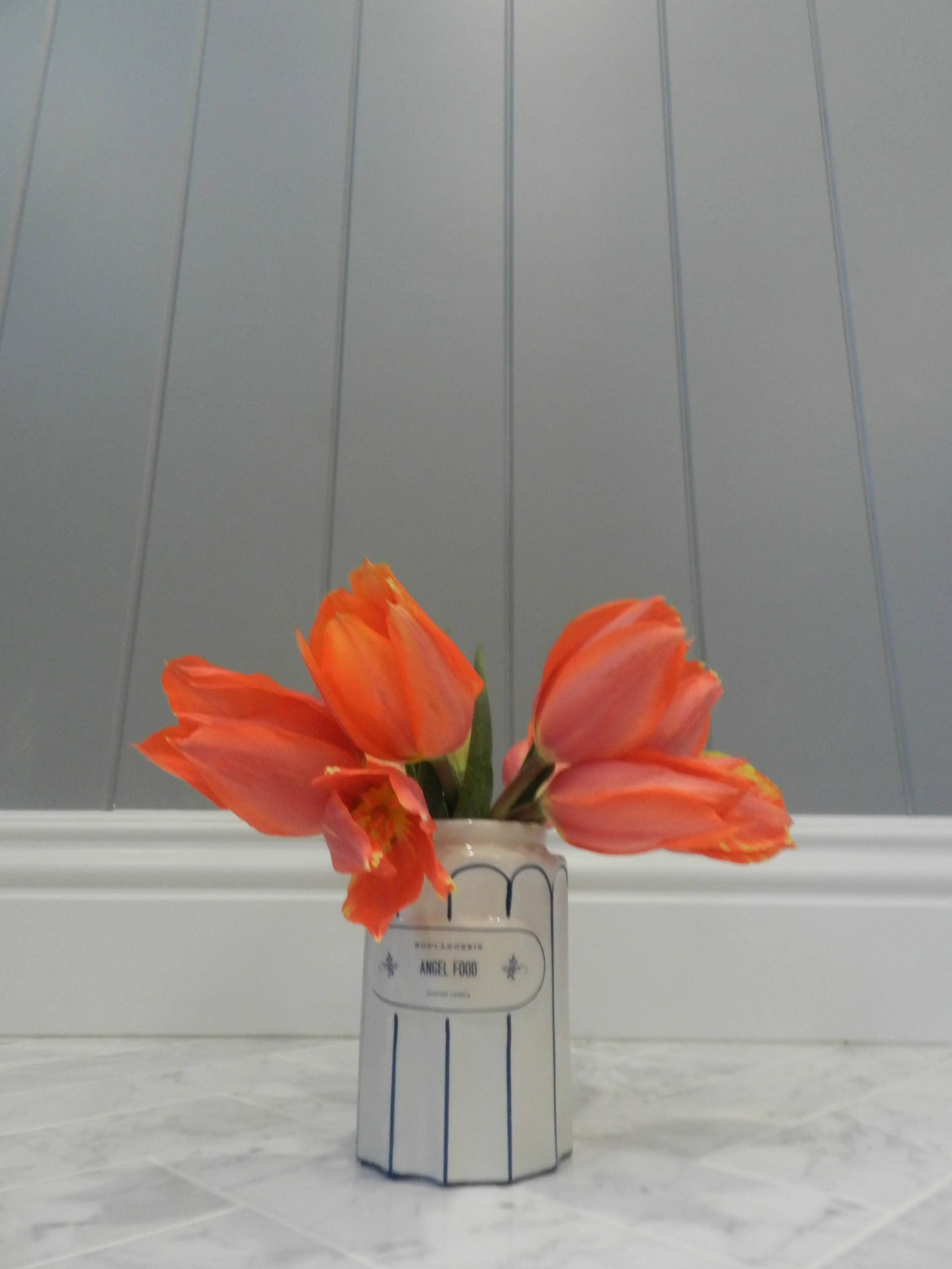 DSCN5660.JPG