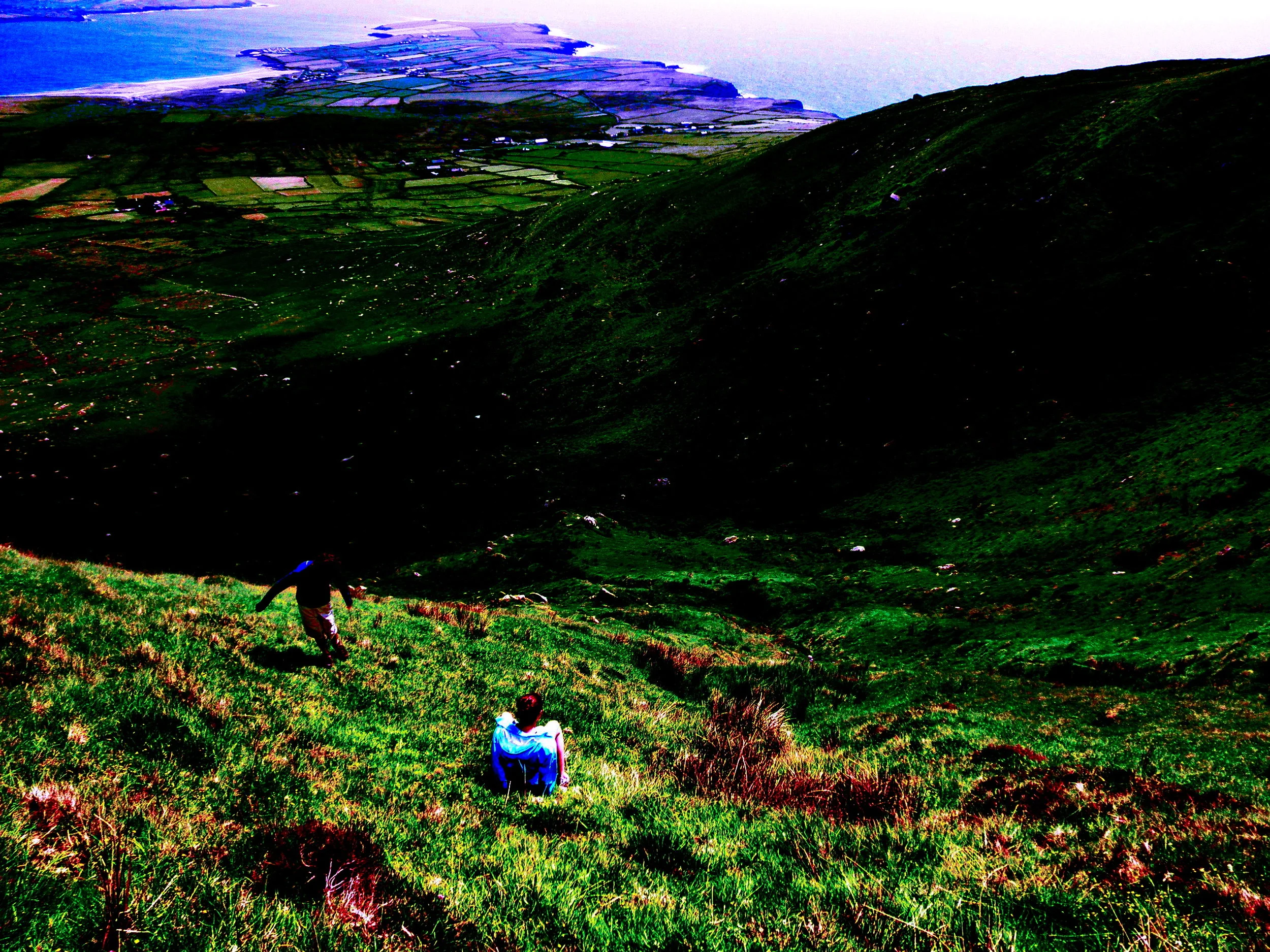 Into The Daisies Image.JPG