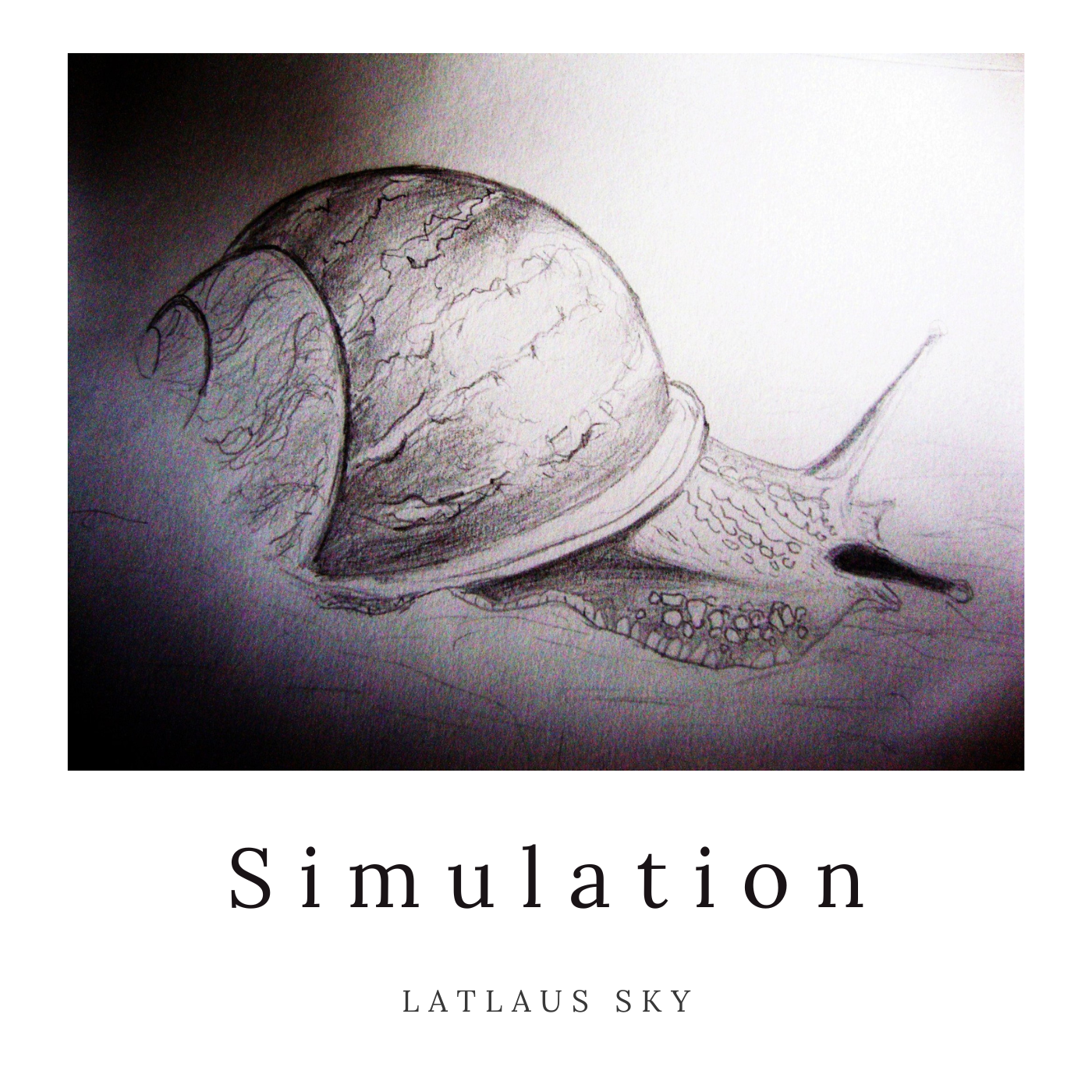 Simulation-2.png