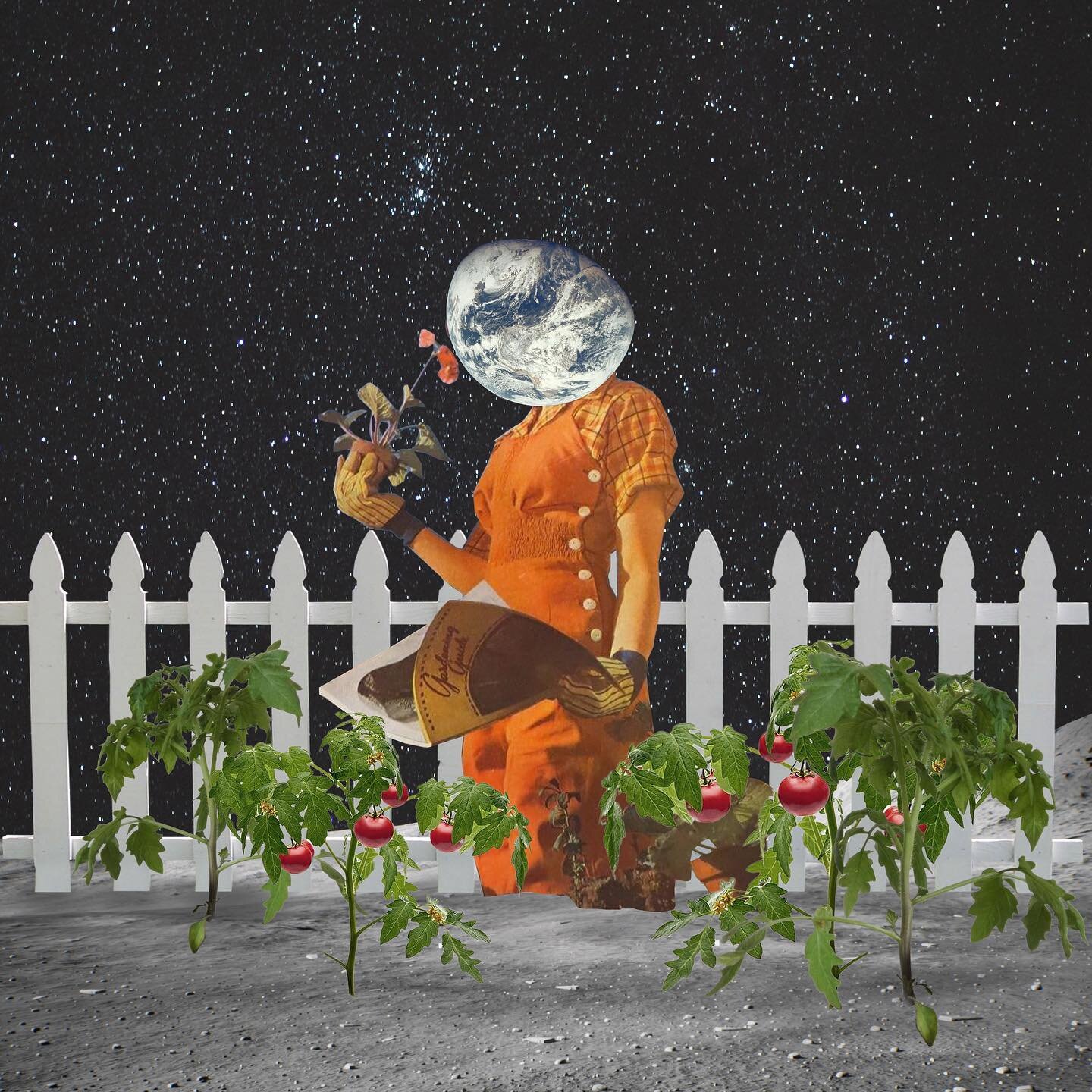 &ldquo;Creator&rdquo; part of the re-imagined limited @tomatoartfest collection available only this Saturday. 
.
.
.
#tomatoartfestival #eastnashville #collageartist #collageart #tomatoseason #mothernature #artistsoninstagram #nashvilleartists