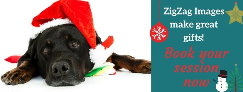 ZigZag Images make great gifts!.jpg