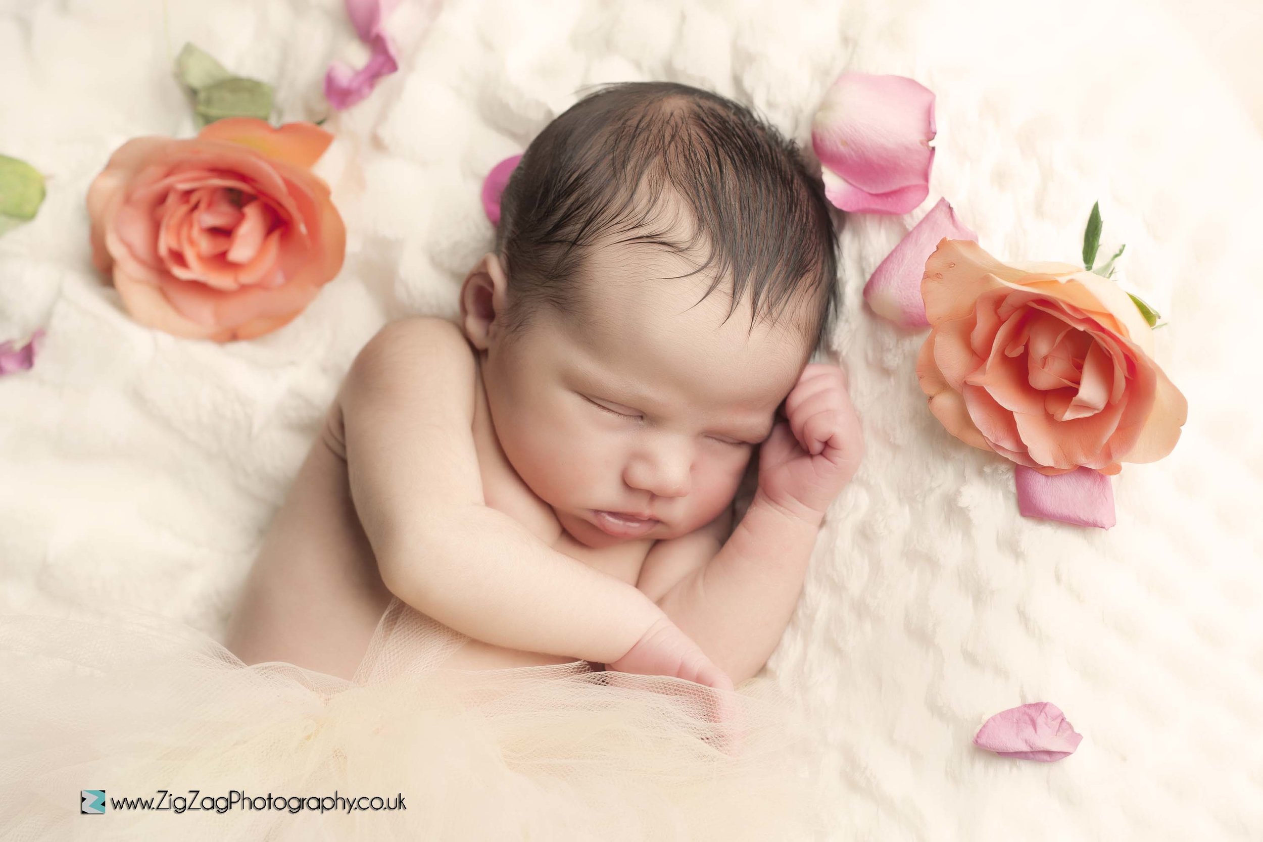 newborn-photography-tutu-flowers-petals-photoshoot-baby.jpg