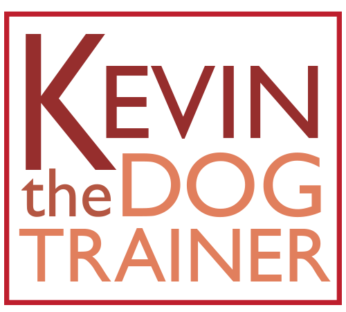 Kevin the Dog Trainer