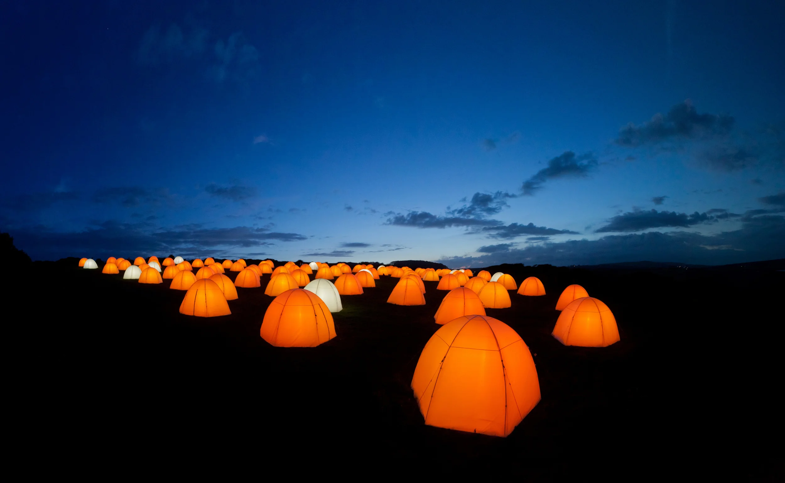 peace camp, artichoke