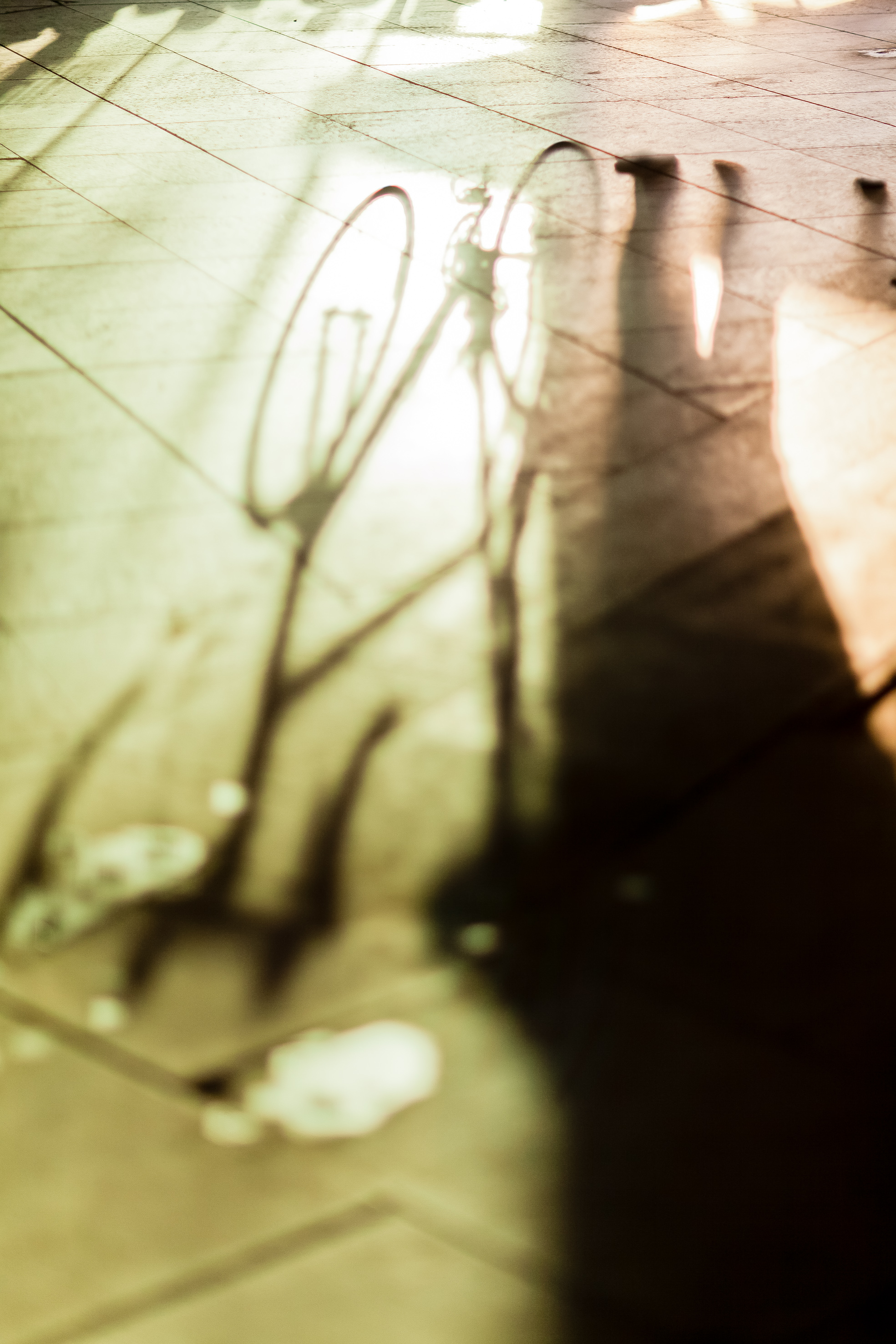 shadow3.jpg