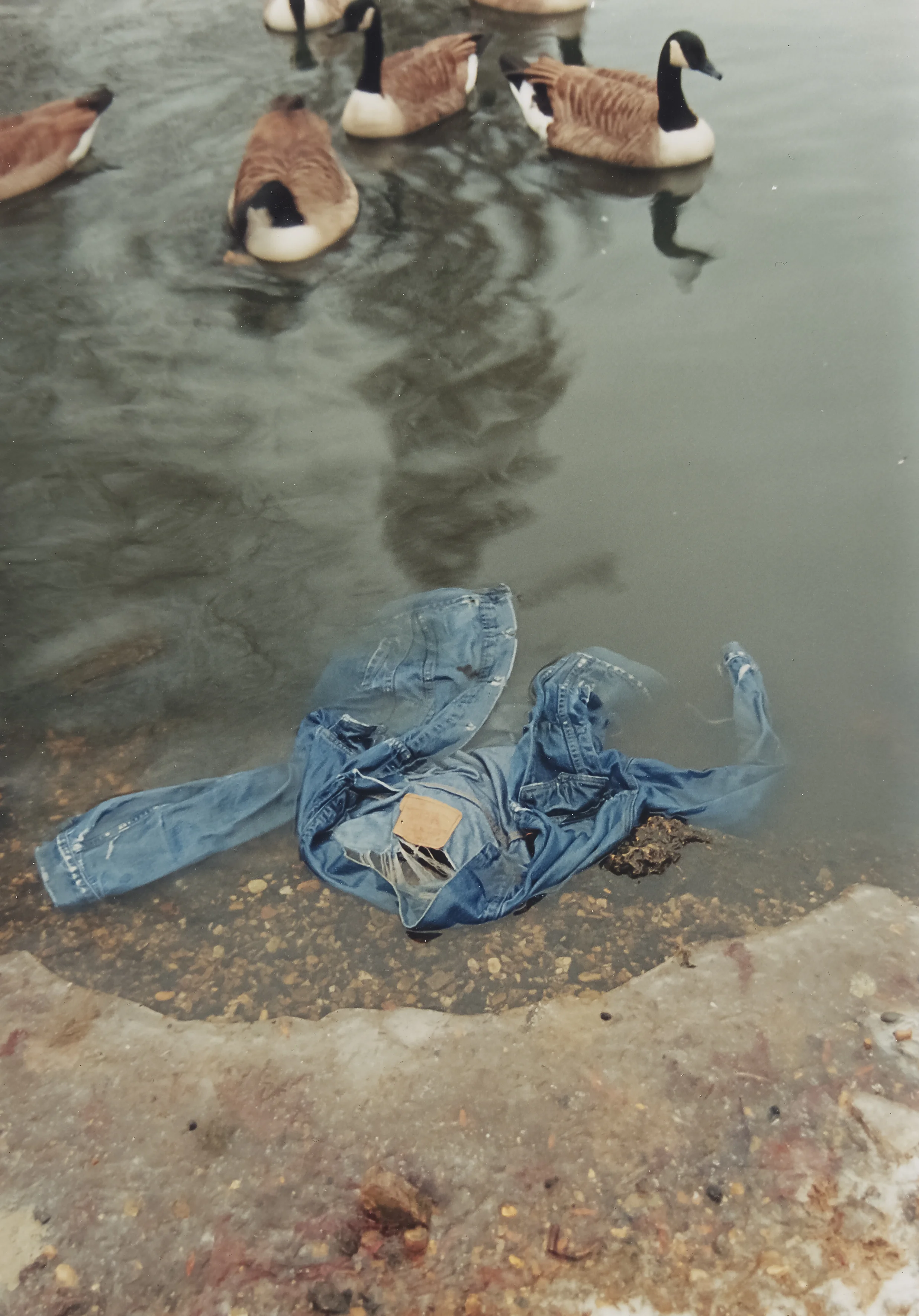lost clothing