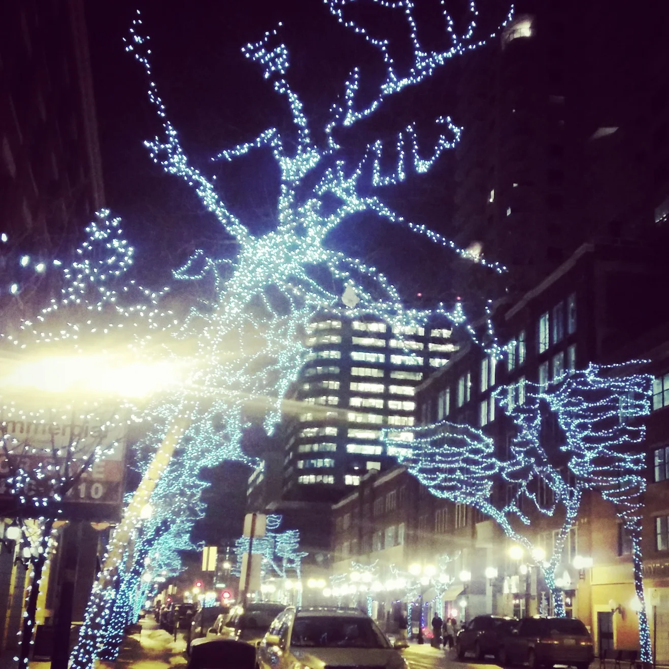 IMG_20150218_194825.jpg