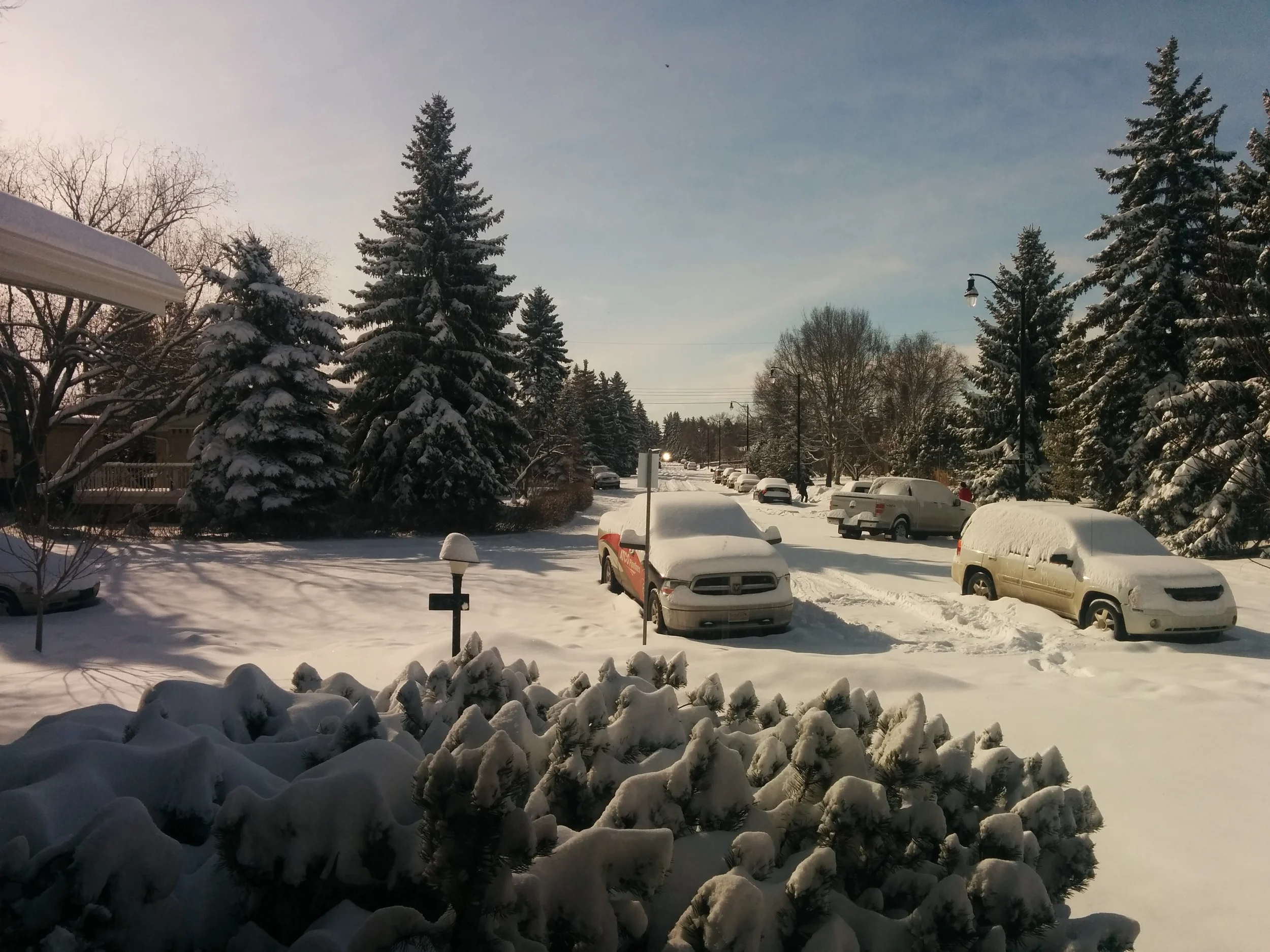 IMG_20150322_111646.jpg