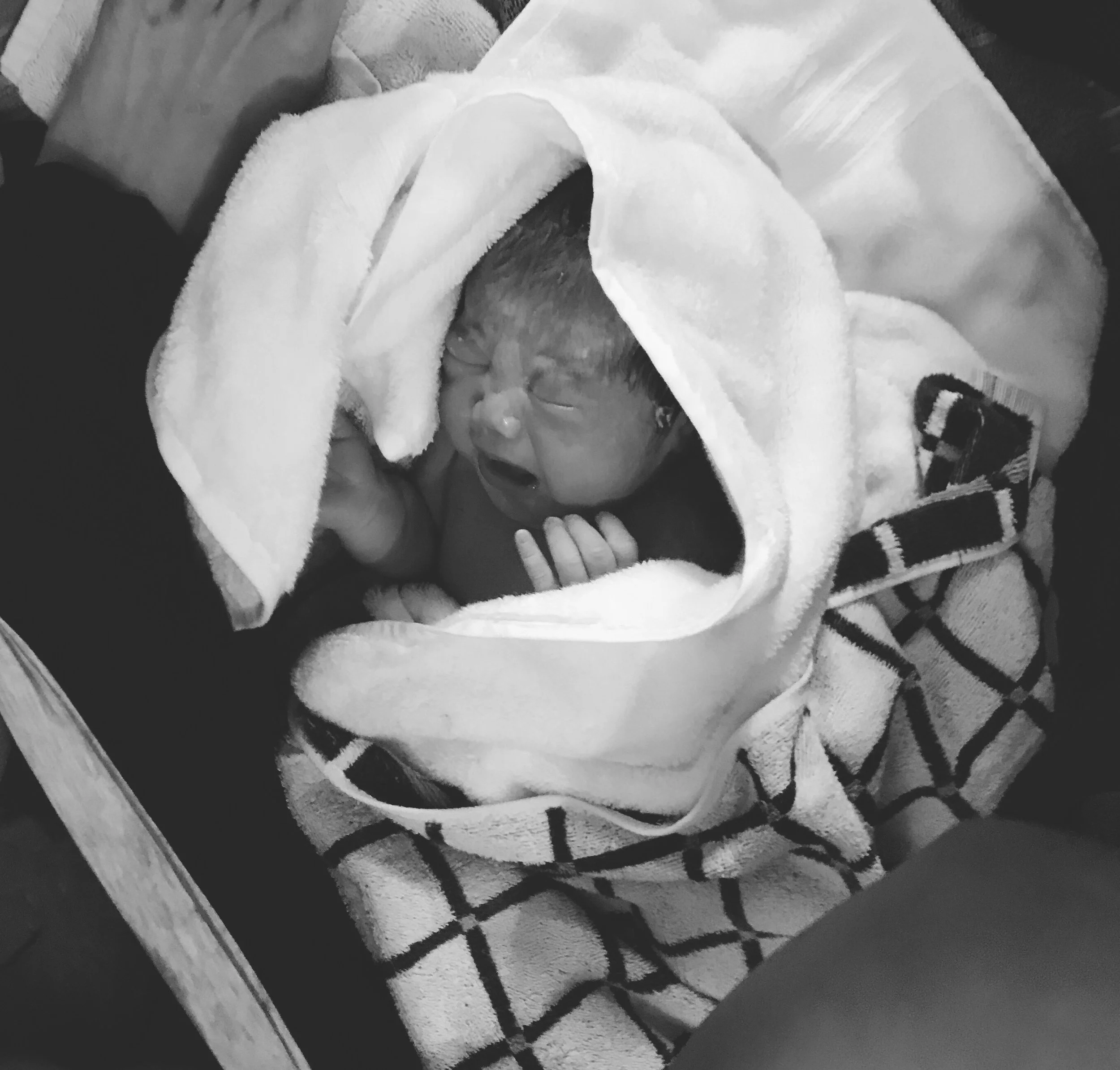 Azelie Marie's Grand Entrance 