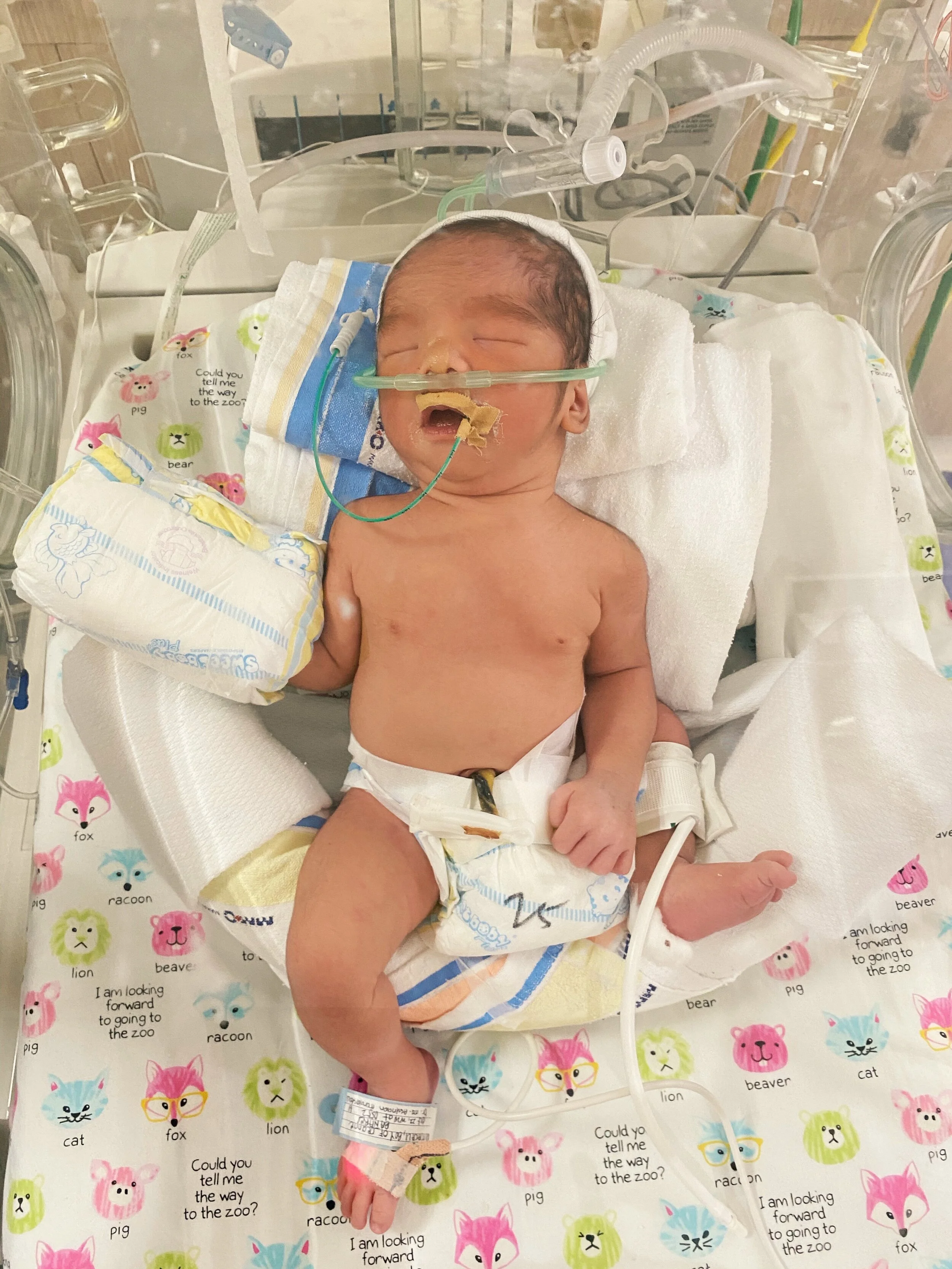 The Third Birth: A Story of Humility