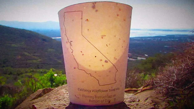 plantable cup.jpg