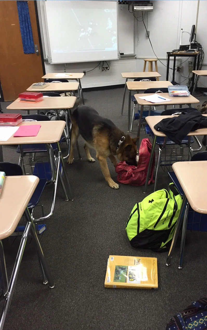 RAID-School-Detection.jpg
