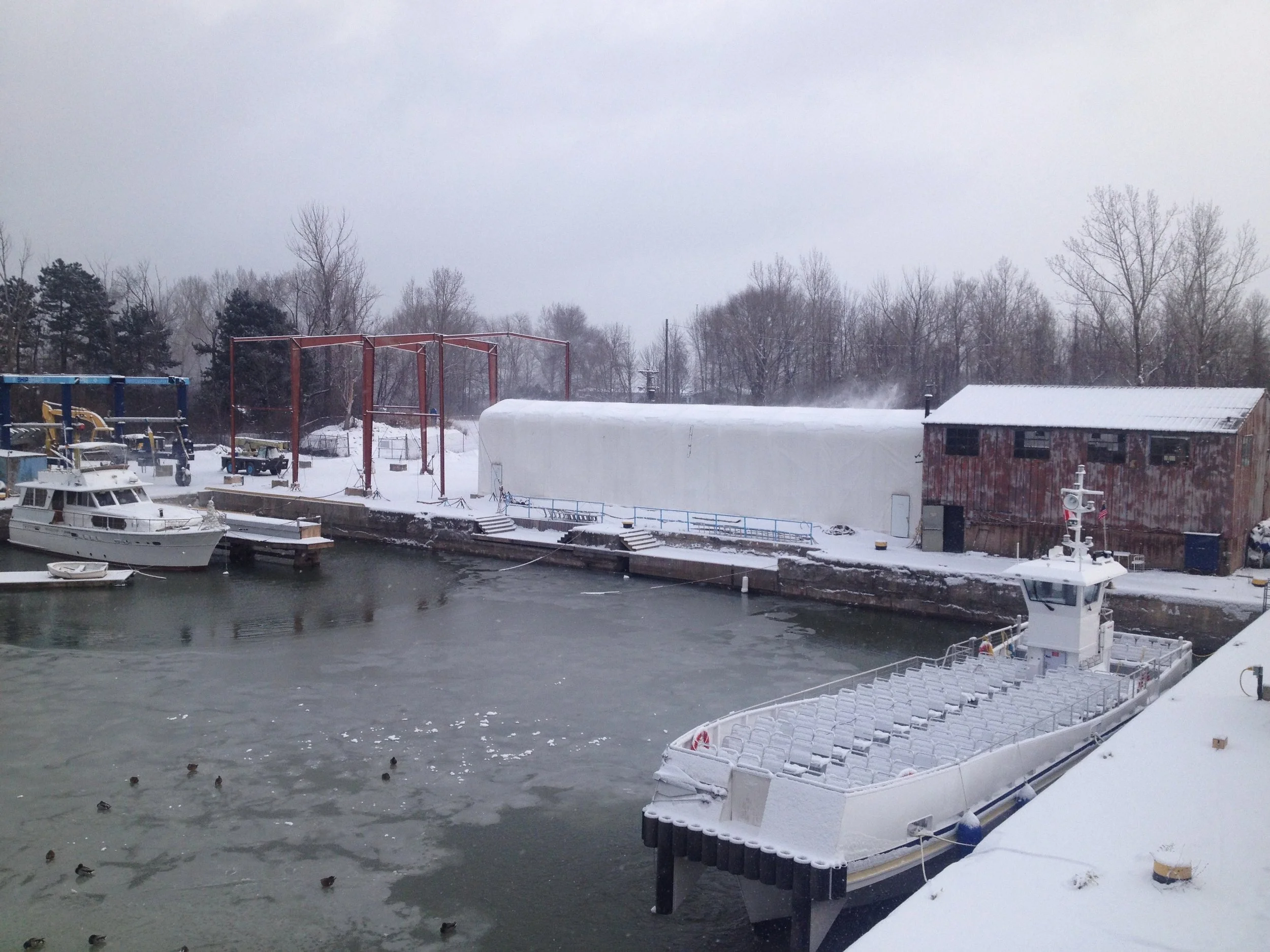 Dec Misc 2013 018.JPG