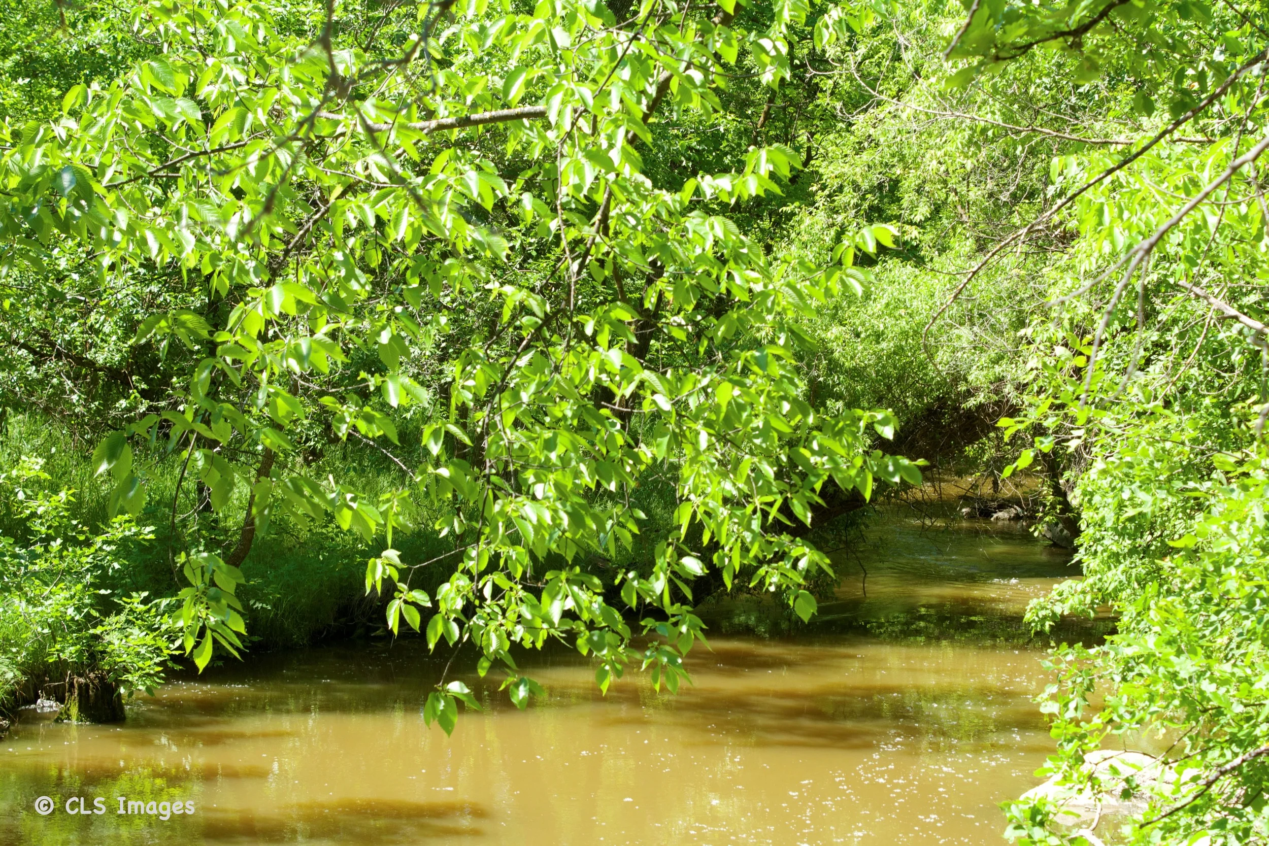 Seine River