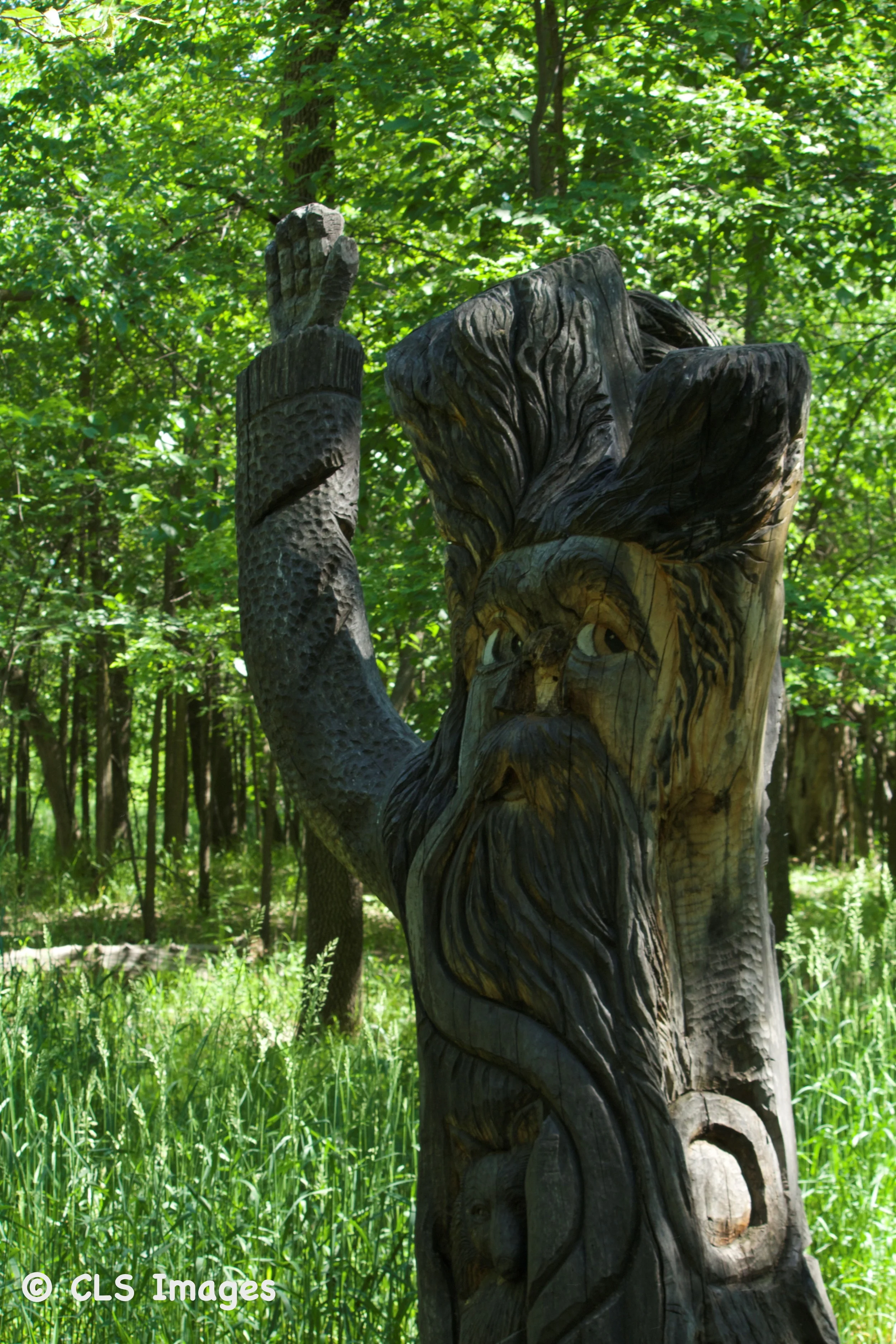 Our destination was to see Woody… the largest Tree Spirit in the forest!