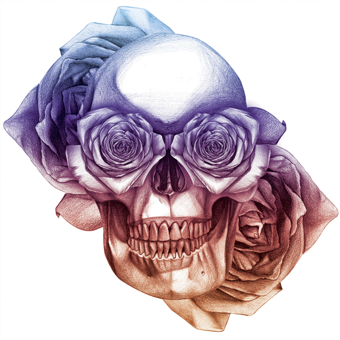 Screen Shot 2016-03-07 at 5.20.14 PM.png