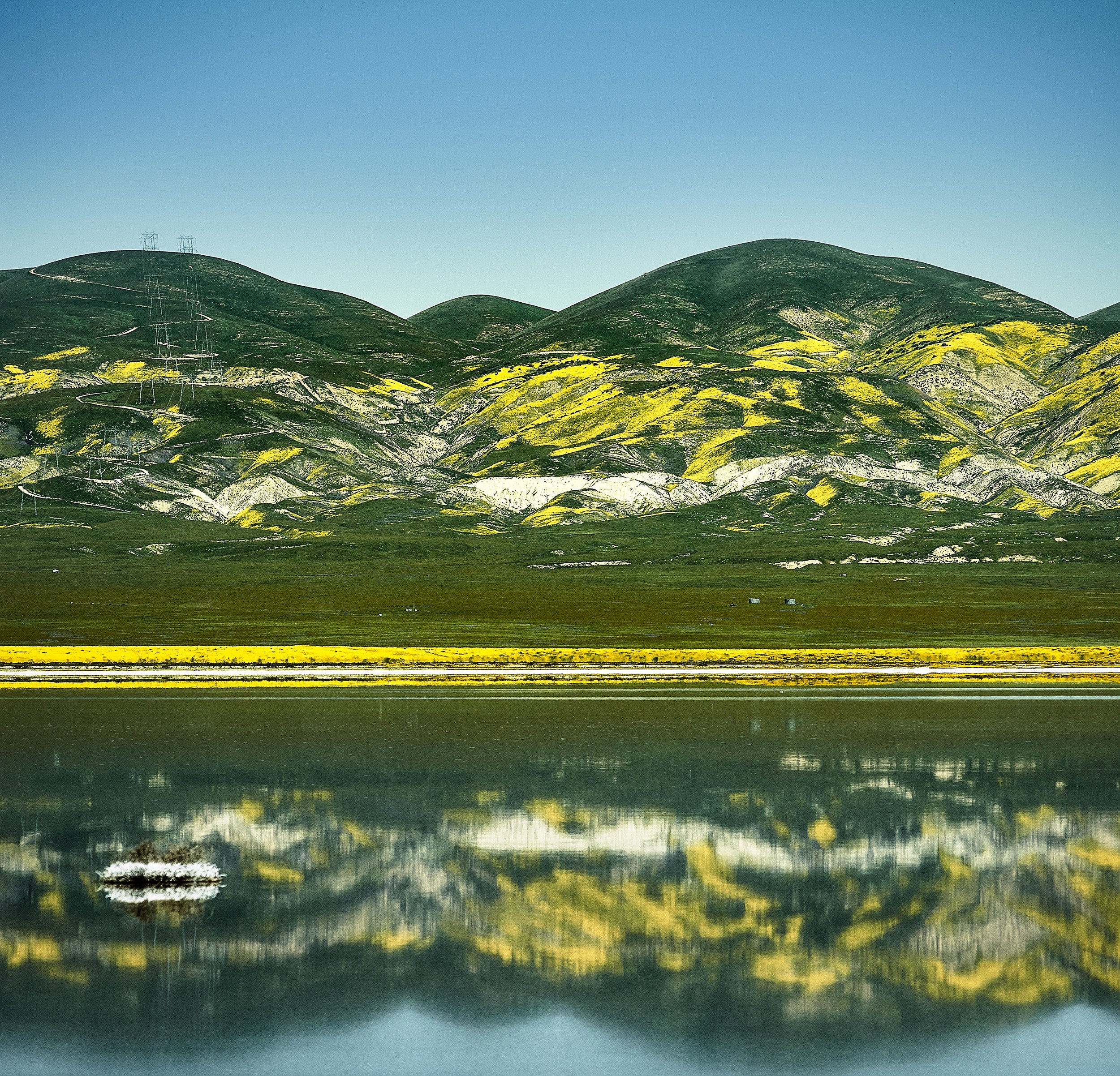 Superbloom, Soda Lake