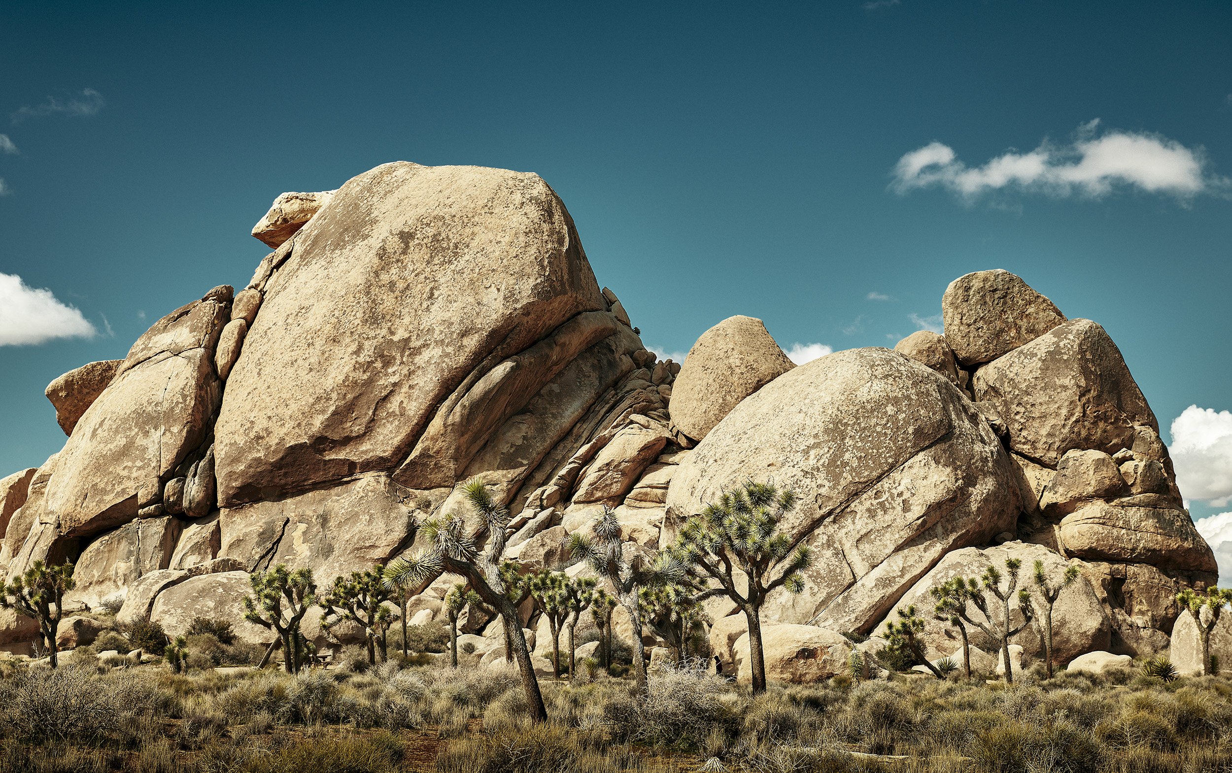 RyanGobuty_JoshuaTree_02.jpg