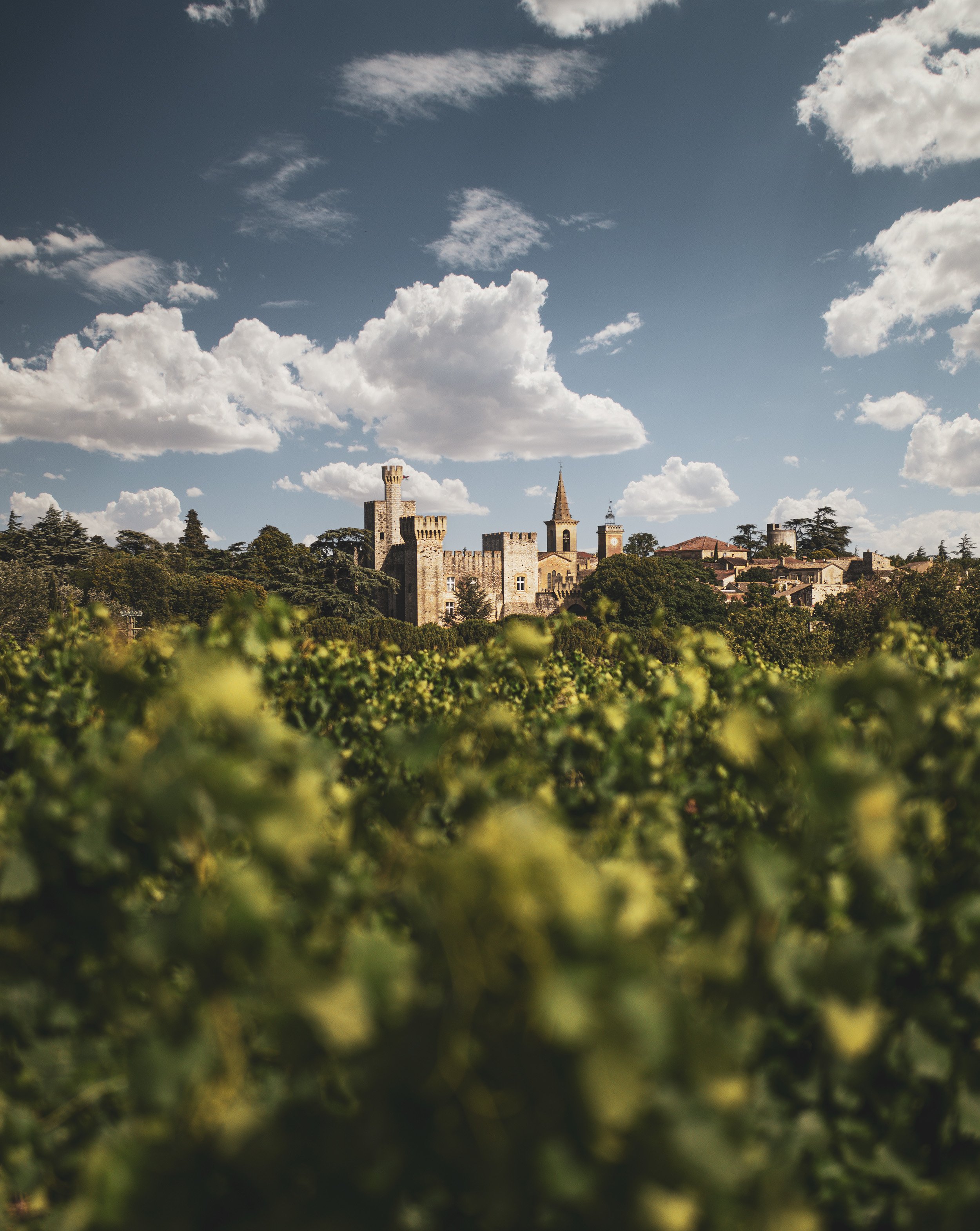 Cotes du Rhone