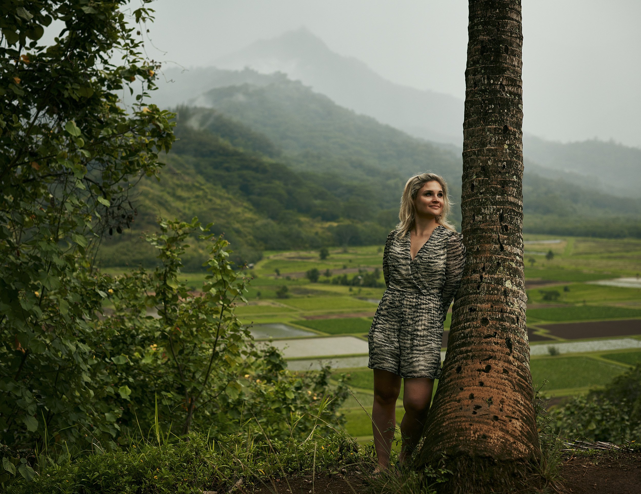 Hanalei Valley