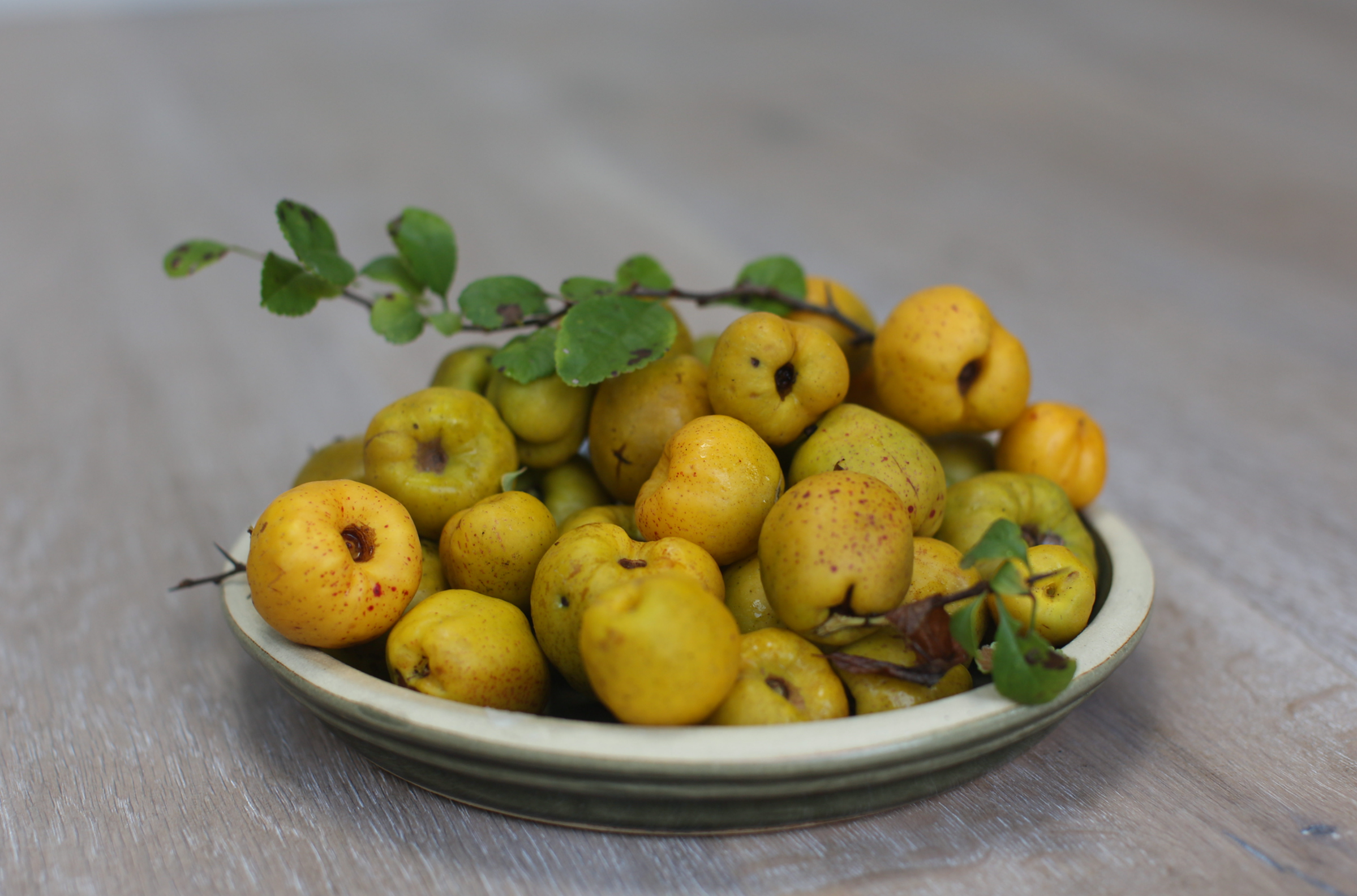 Recipe - Quince Paste