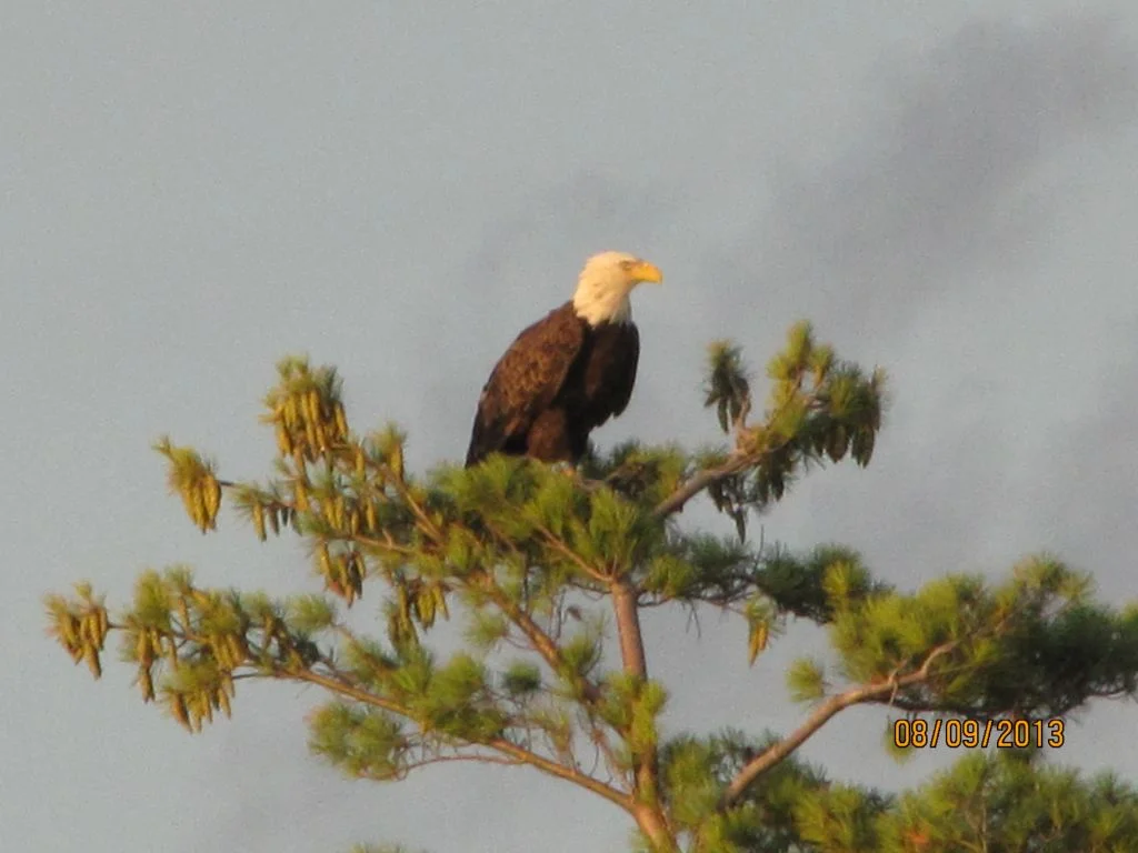 img_4360.jpg