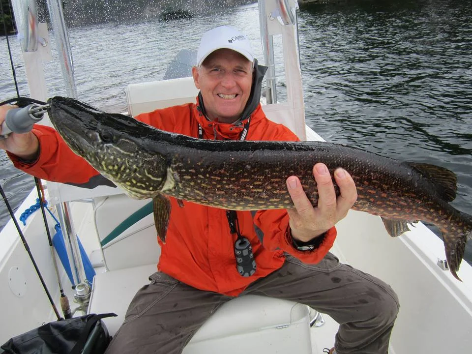 stewart6.jpg
