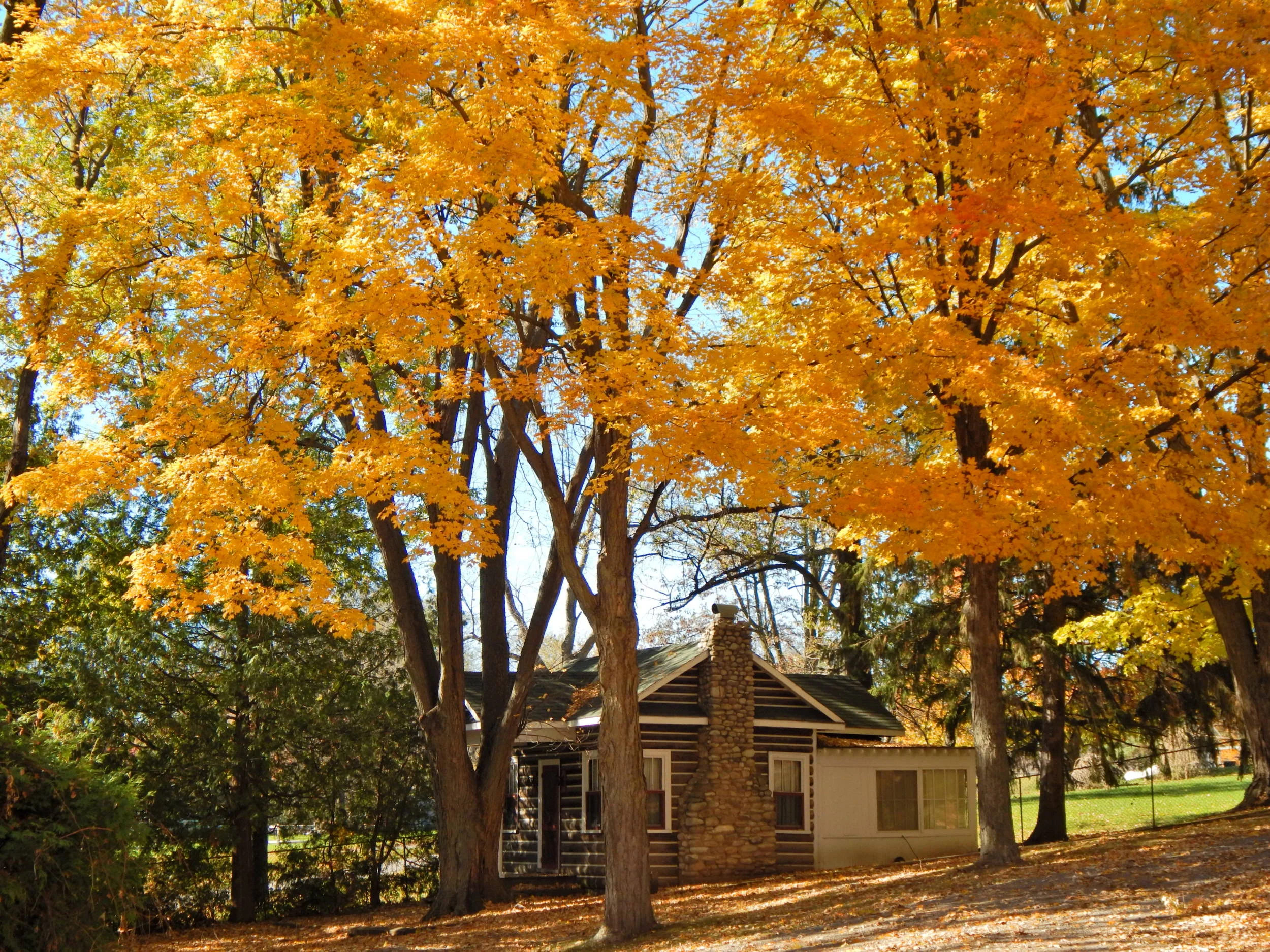 Fall is all around us