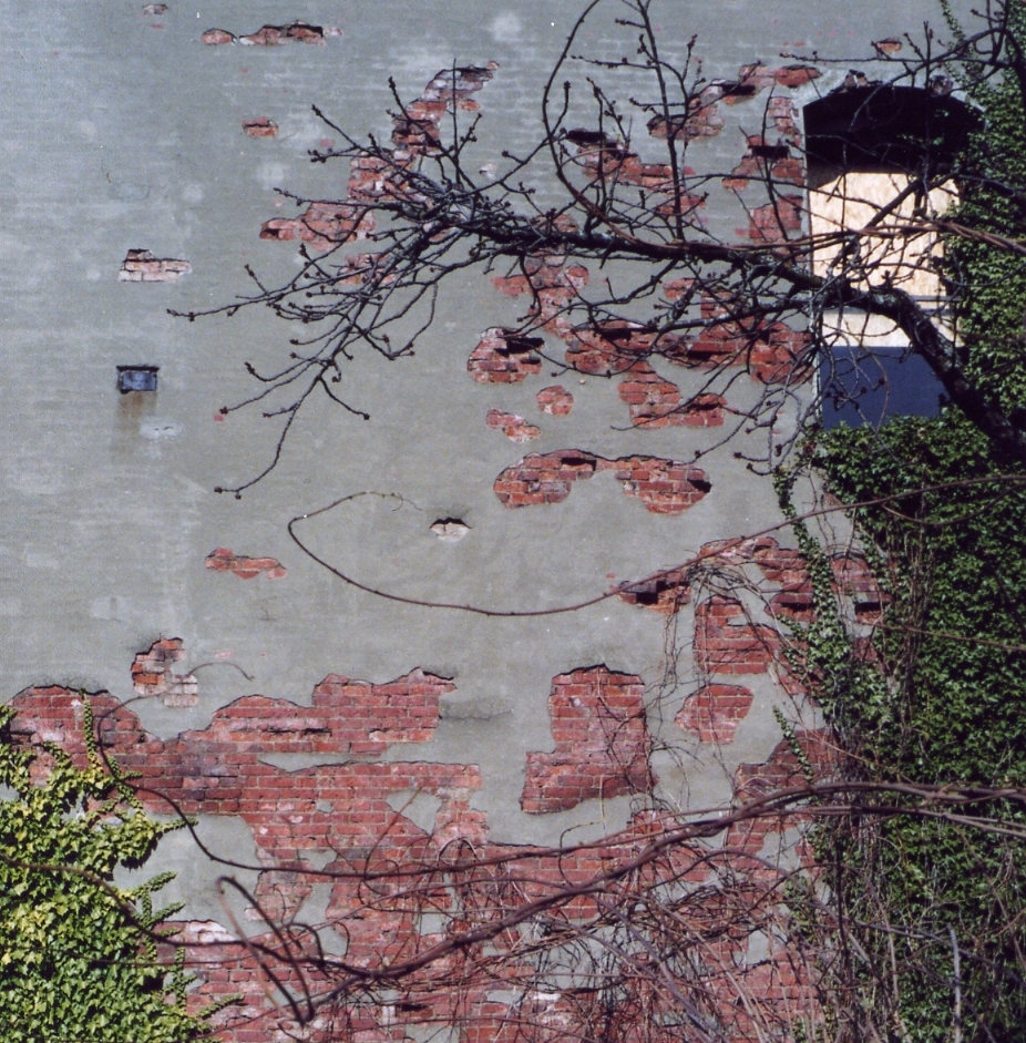  Peeling Wall, Ballard 