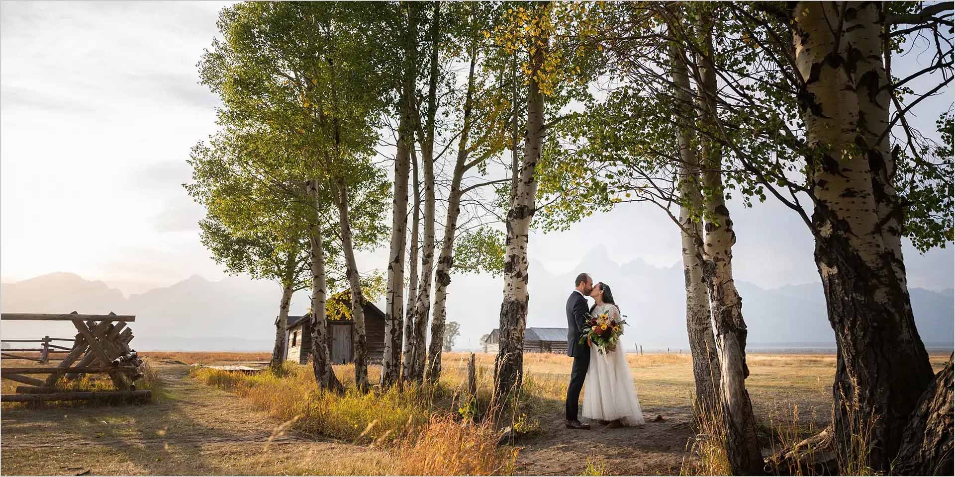 Wedding photography outside in trees