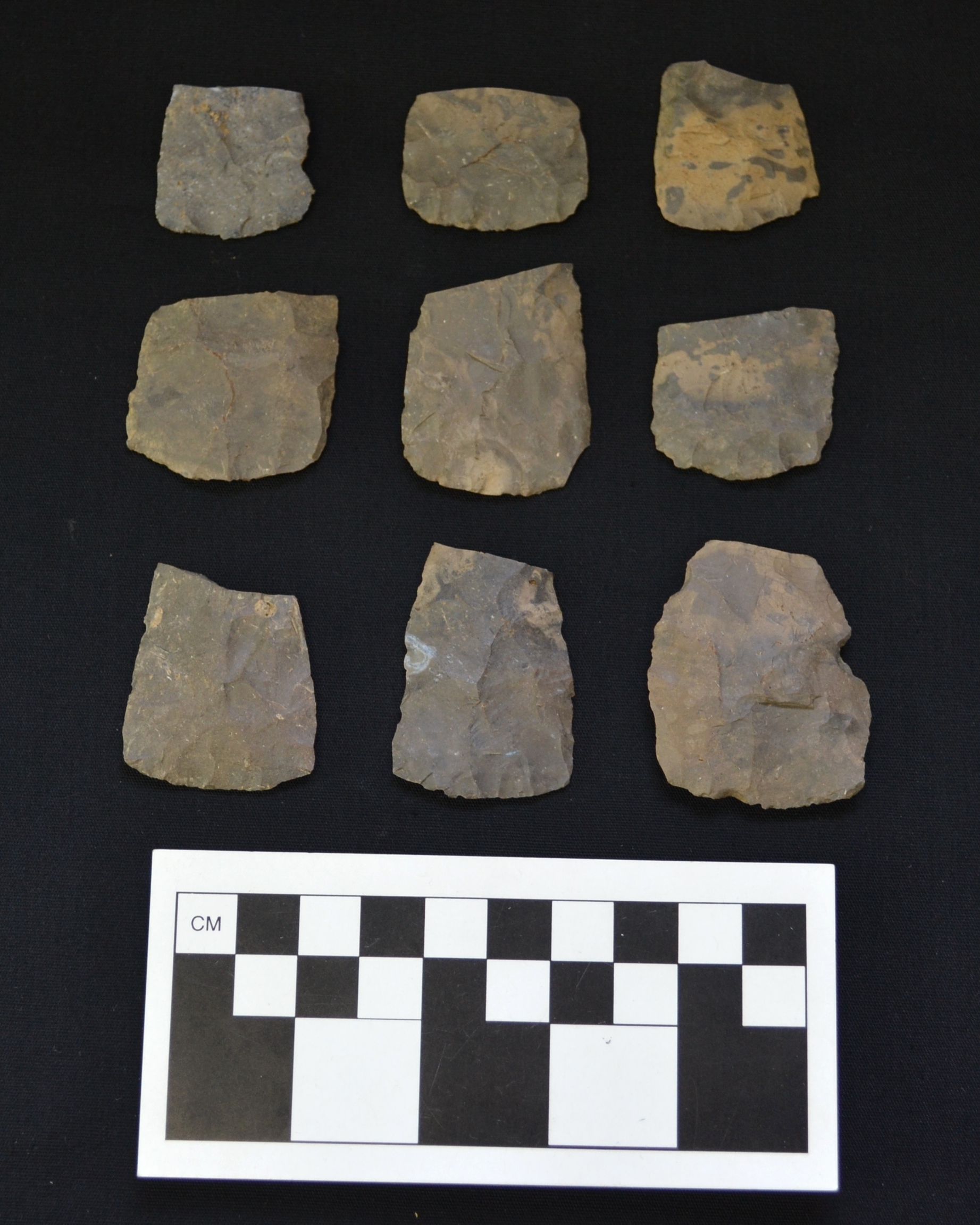A sample of Onondaga chert, Meadowood cache blade fragments from the Esmond 2 site.