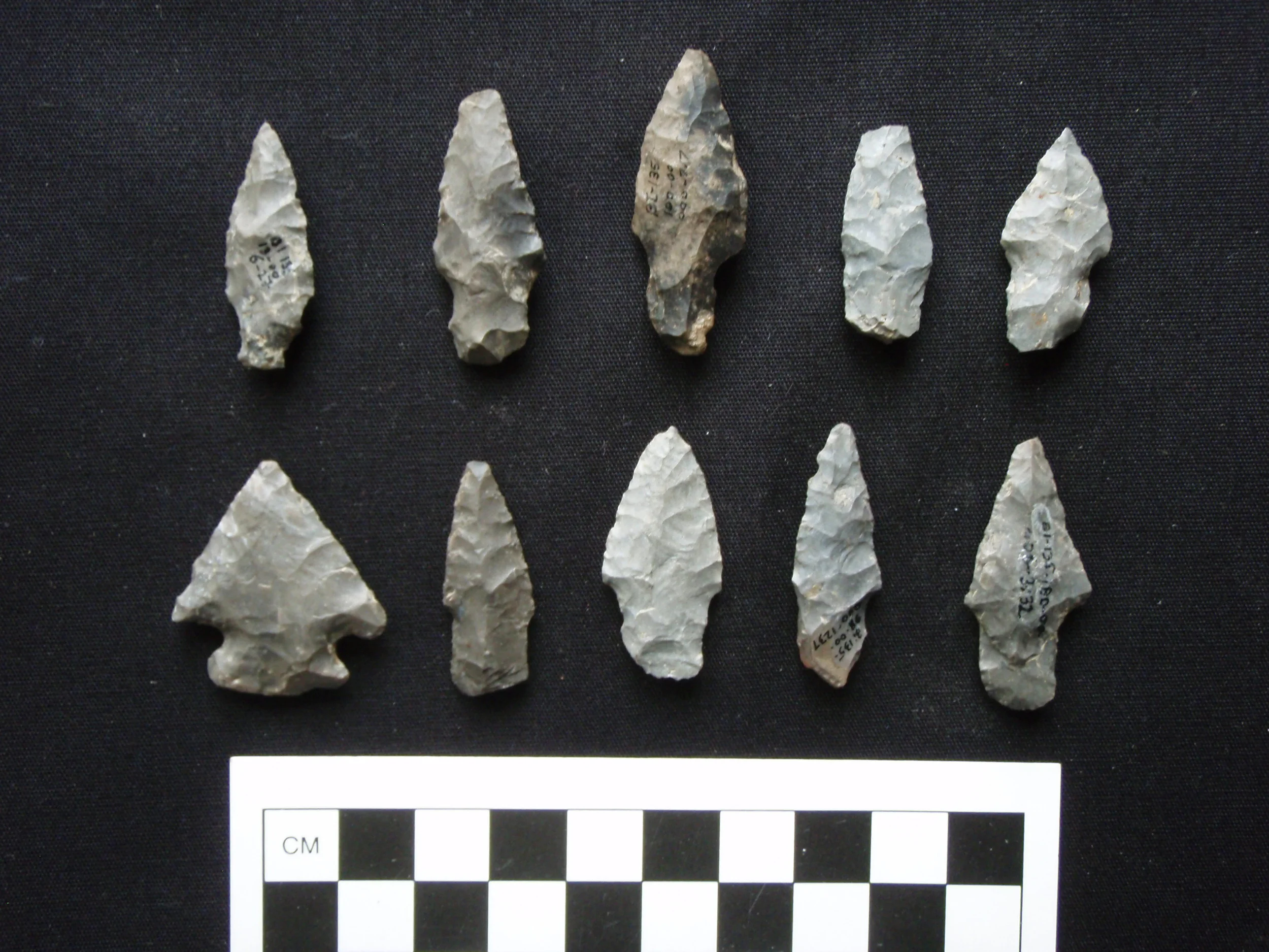 The Enigmatic Archaic Site at Lamoka Lake, New York