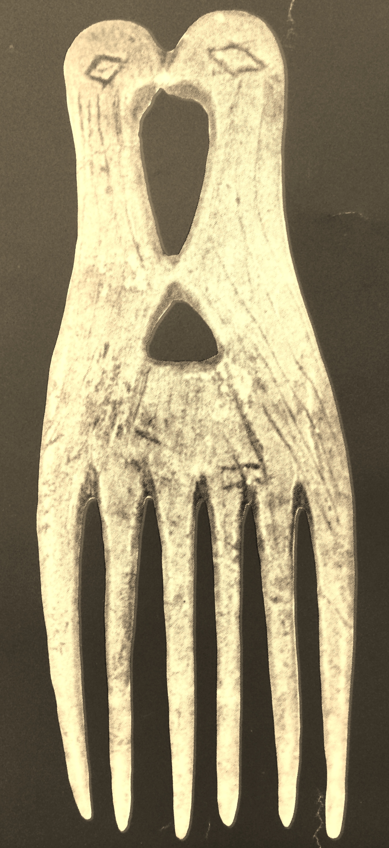 Bone comb from Frontenac Island illustrated in Ritchie's Archaeology of New York State (Source: 1993 New York State Archaeology Week poster).