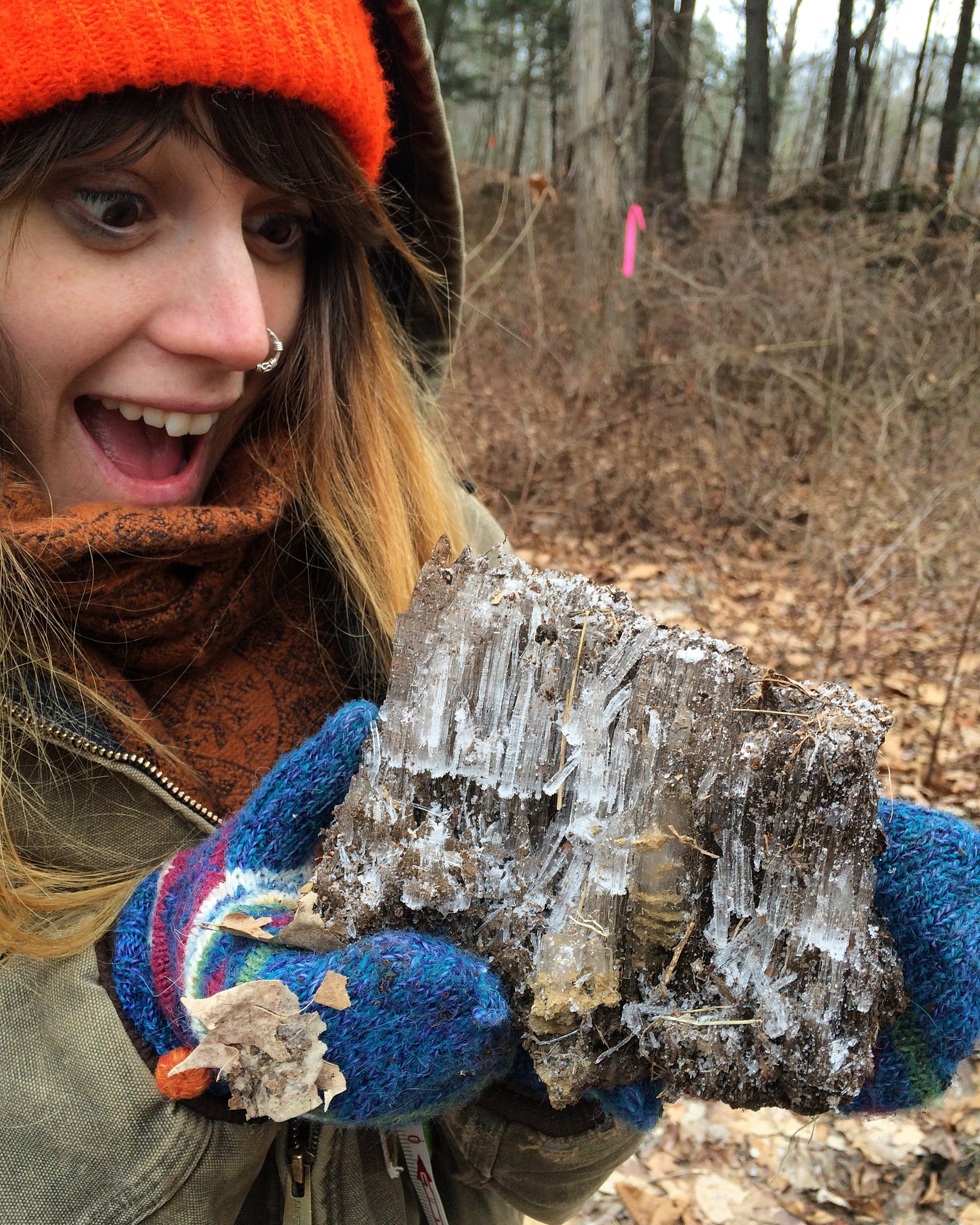 Meadow Coldon discovers evidence of cryoturbation, January 2016